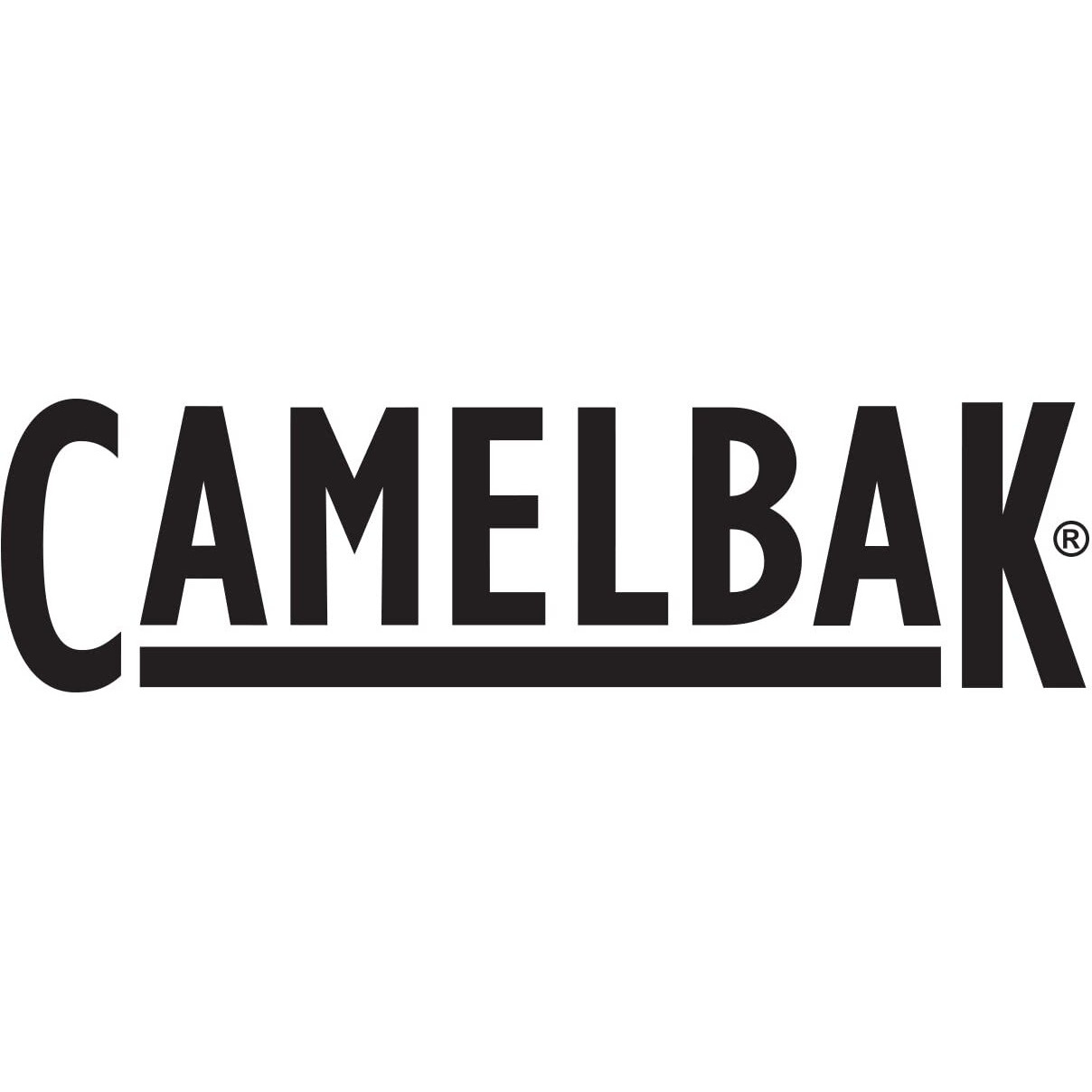 Camelbak Eddy+ Bite Valve And Straw, 2 Count (Pack Of 1)