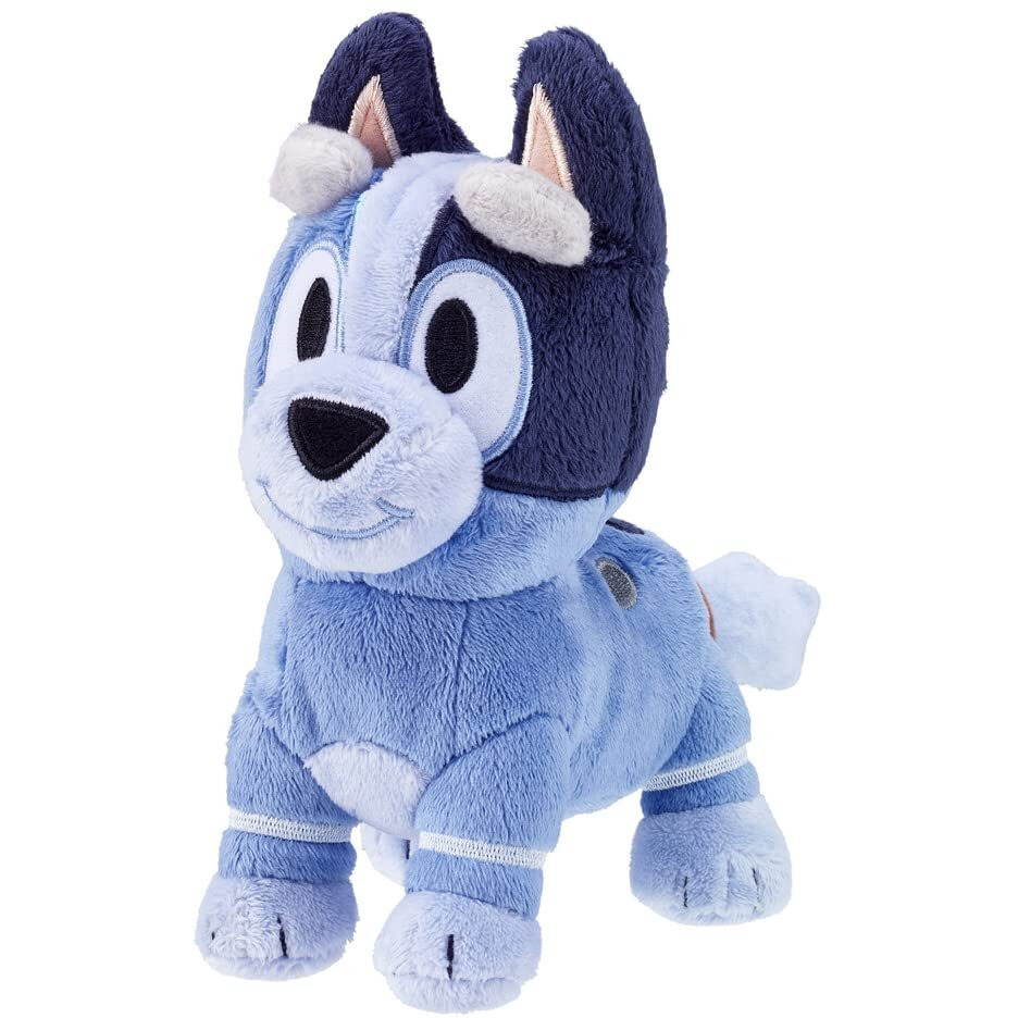Bluey Plush Socks Bluey Friends New Character 2021 Toddler Kids