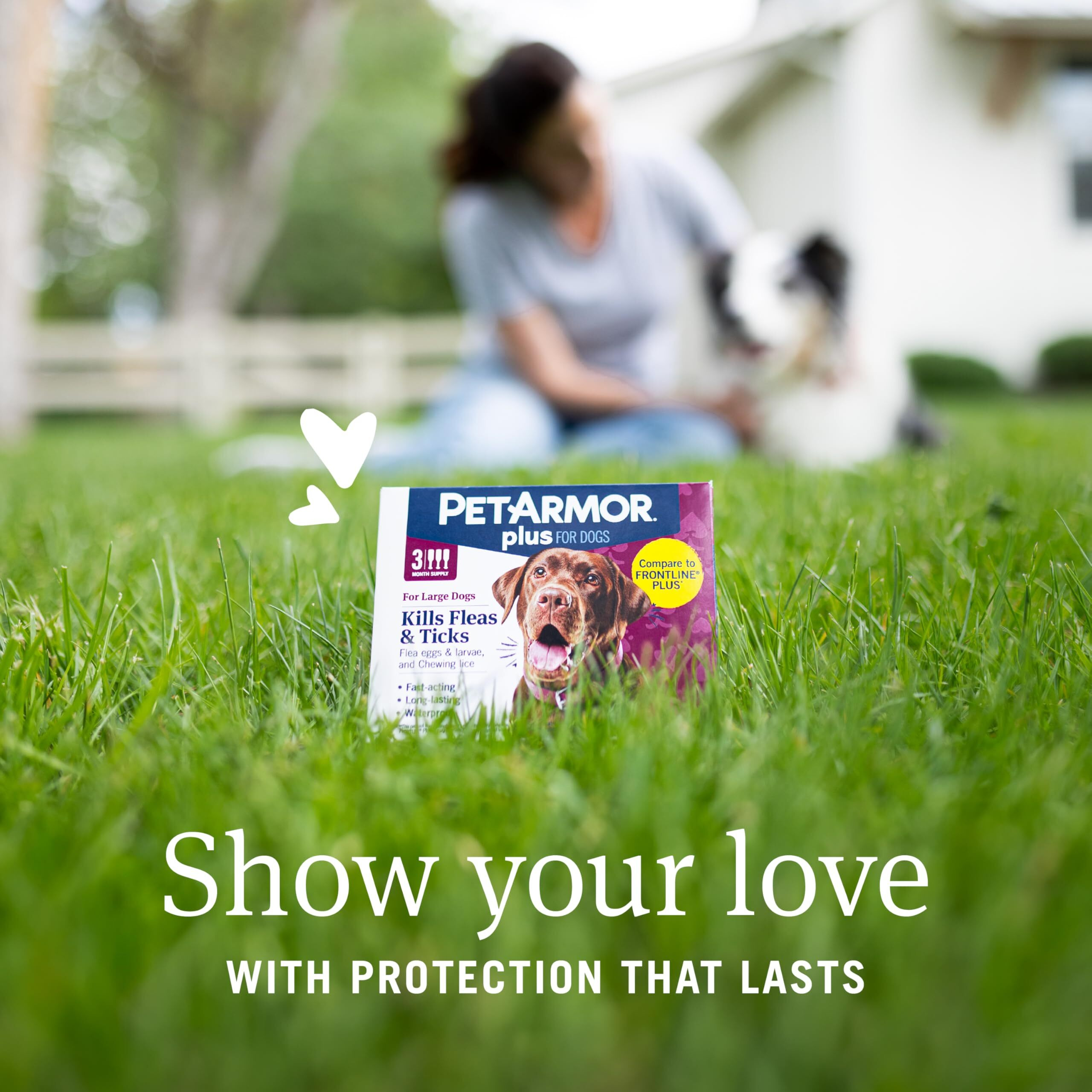 Petarmor Plus Flea And Tick Prevention For Dogs, Dog Flea And Tick Treatment, 6 Doses, Waterproof Topical, Fast Acting, Large Dogs Dogs (45-88 Lbs)