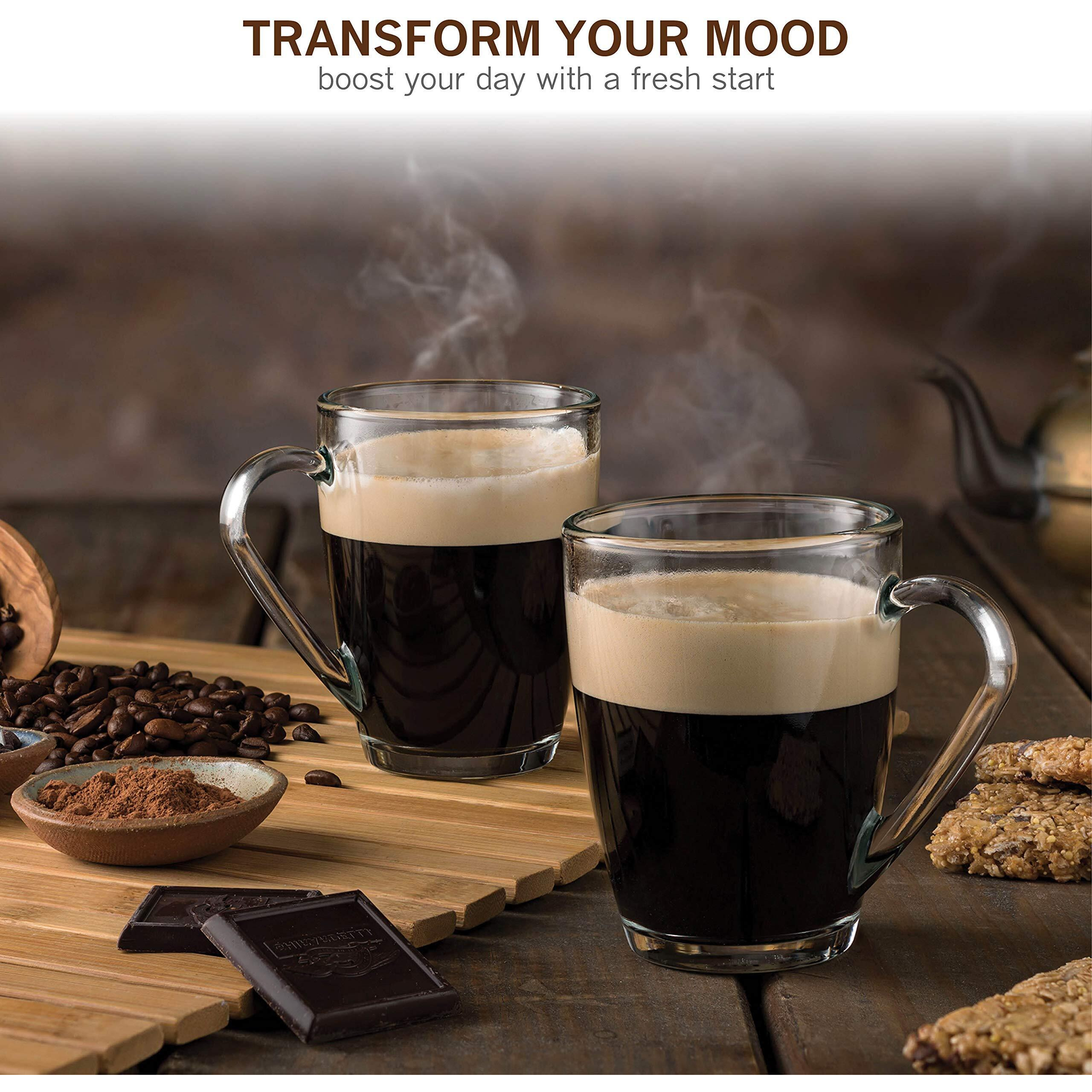 Bormioli Rocco Glass Coffee Mug Set, (6 Pack) 10 Ounce With Convenient Handle, Tea Glasses For Hot/Cold Beverages, Thermal Shock Resistant, Tempered Glass, For Cappuccino, Latte, Espresso, Clear.