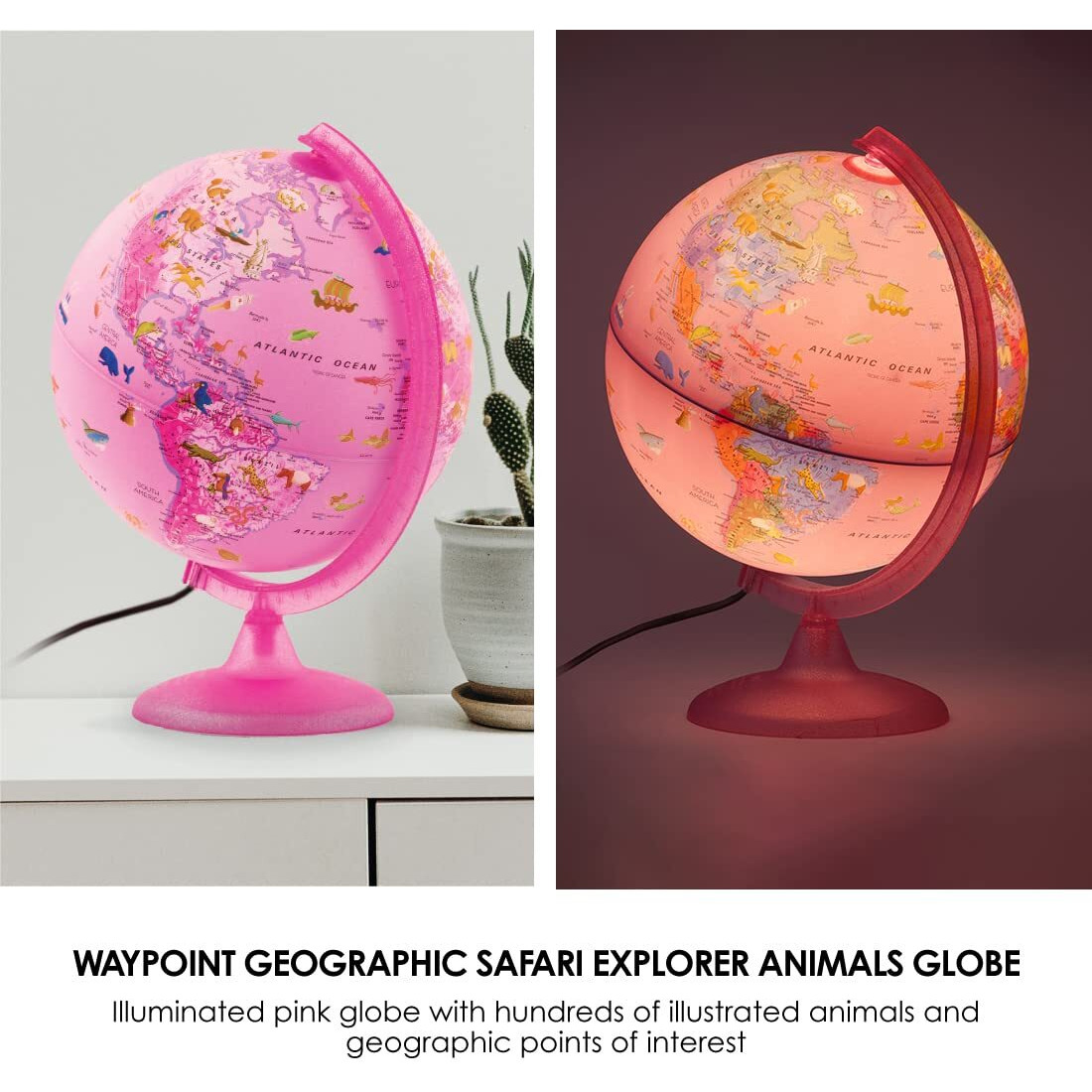 Waypoint Geographic Safari Explorer Animals Globe, World Globe, 10    Illuminated Desktop Globe With Physical Earth And 100S Of Illustrated Animals, Pink