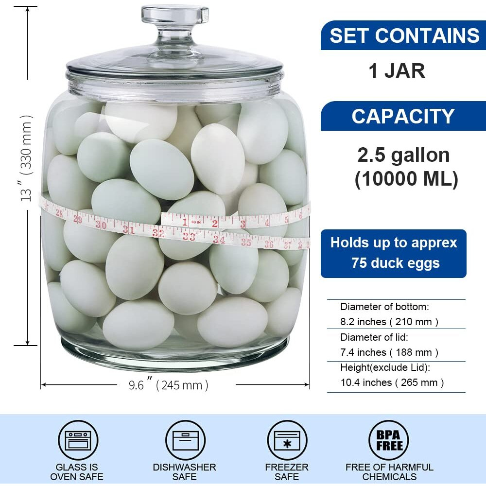 Daitouge 2.5 Gallon Glass Jars With Lids, Large Cookie Jars With Wide Opening, 1 Pack Glass Storage Jars With Lids For Kitchen, Great For Storage Flour, Rice, Sugar, Pasta, Candy