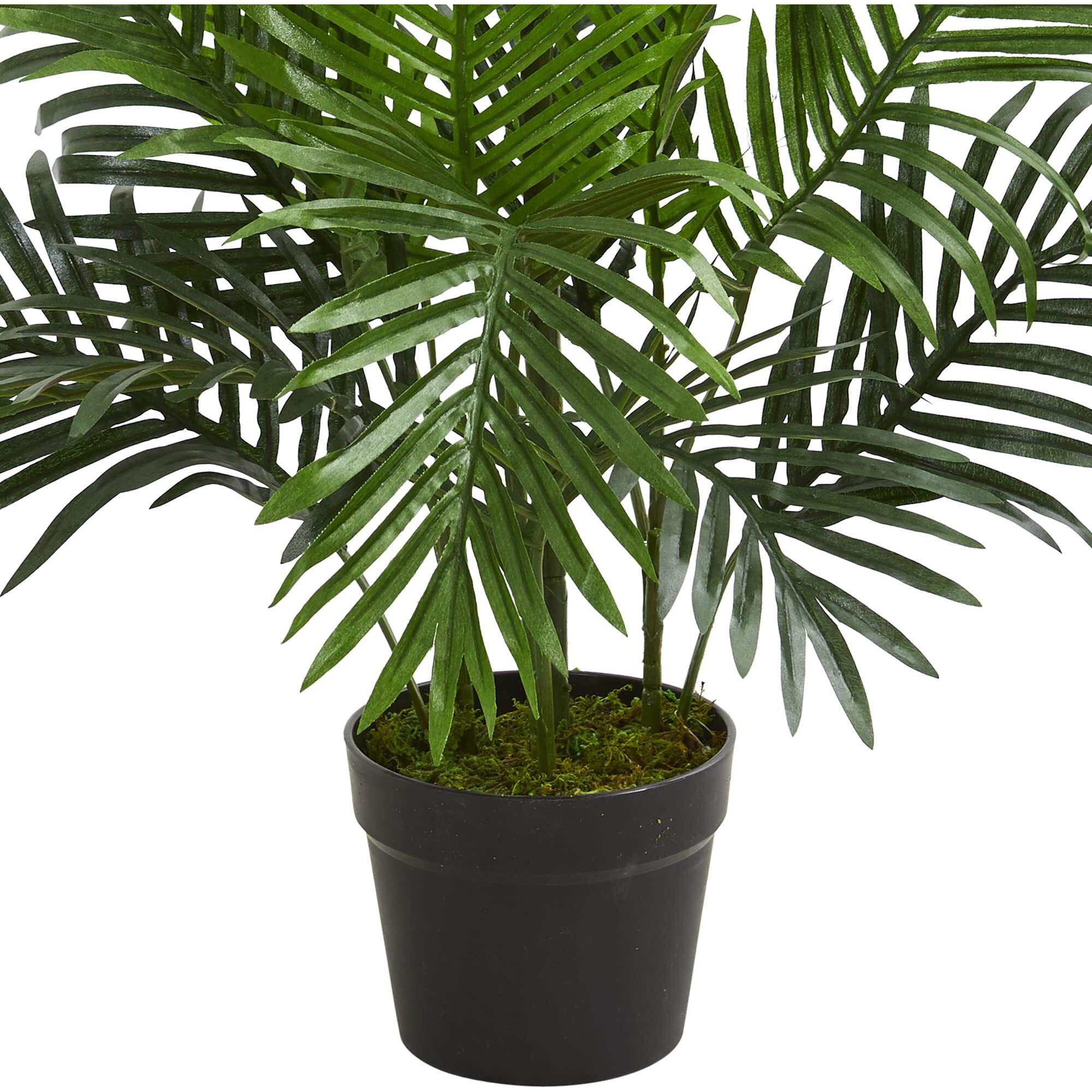 Nearly Natural 3' Paradise Palm Tree Artificial Plant, Green