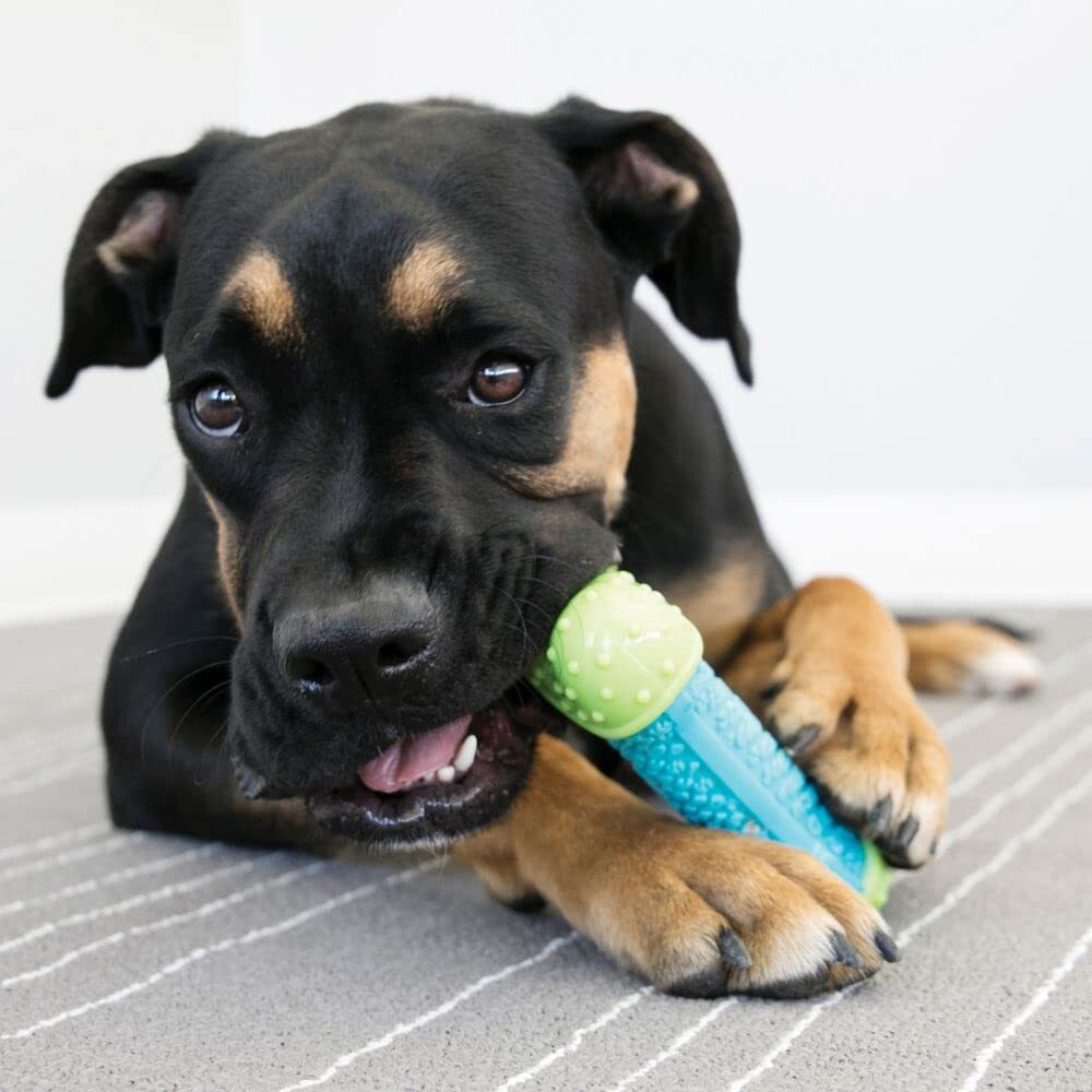 Kong Corestrength Bone - Dog Dental Chew Toy - Durable, Multi-Layered Dog Toy For Enrichment Play & Dental Care - With Textured Body For Teeth Cleaning - For Medium/Large Dogs