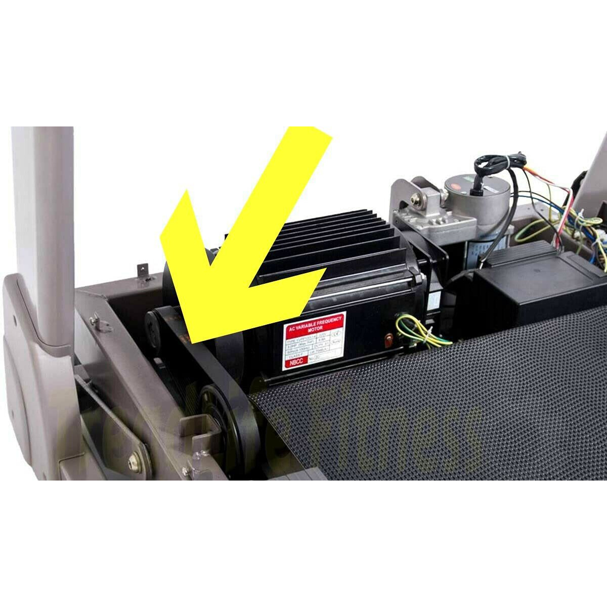 Treadmill Drive Belt - Compatible With Proform Treadmills - Part Number 311589 - Comes With Free Treadmill Lube