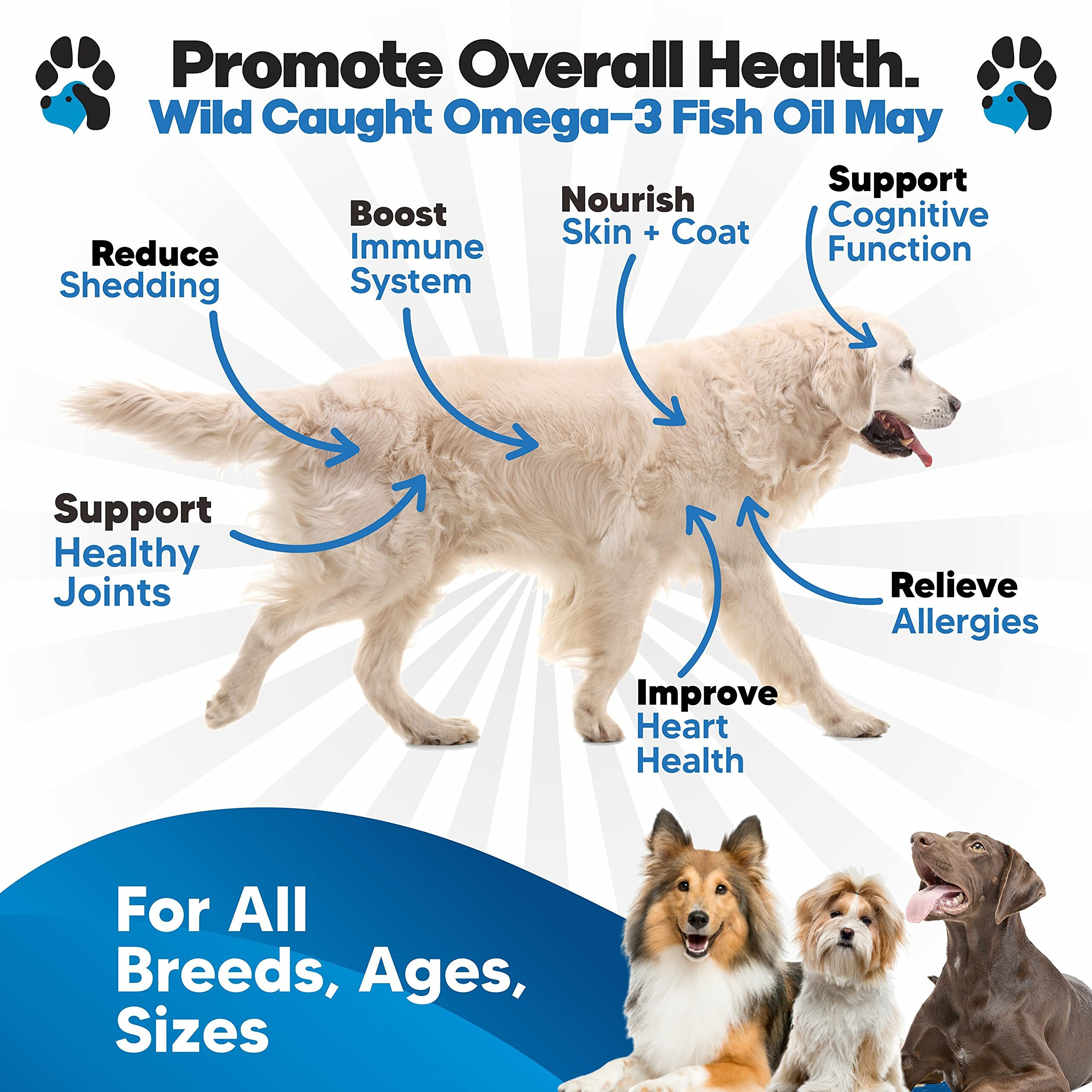 Omega 3 Fish Oil For Dogs - Better Than Salmon Oil - Dog Fish Oil Supplement To Reduce Shedding & Itching - Supports Joints, Brain, And Heart Health - Skin And Coat Supplement - Liquid Fish Oil