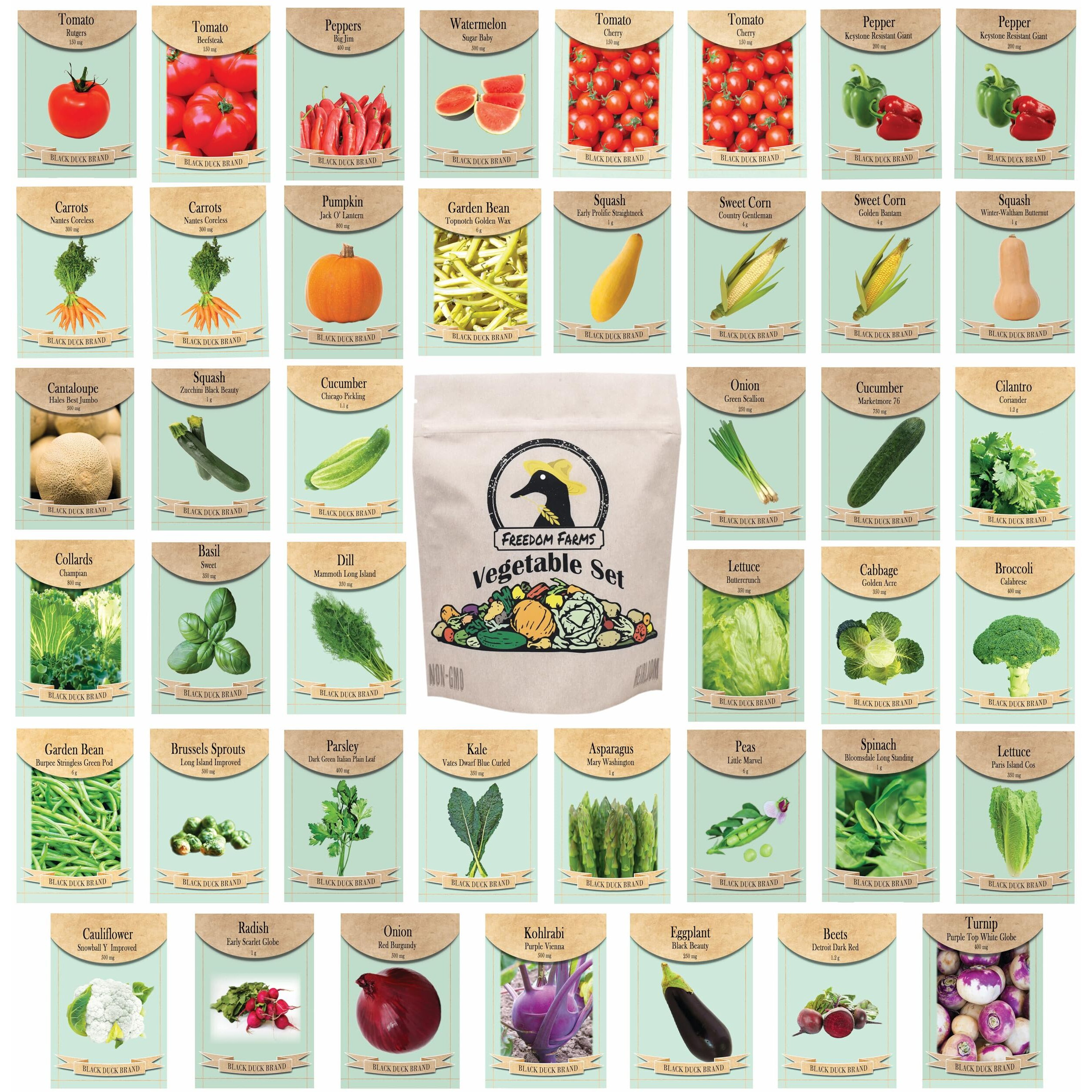 Set Of 43 Assorted Vegetable & Herb Seed Packets - Over 10,000 Seeds - Includes Mylar Storage Bag - Deluxe Garden Heirloom Seeds - 100% Non-Gmo