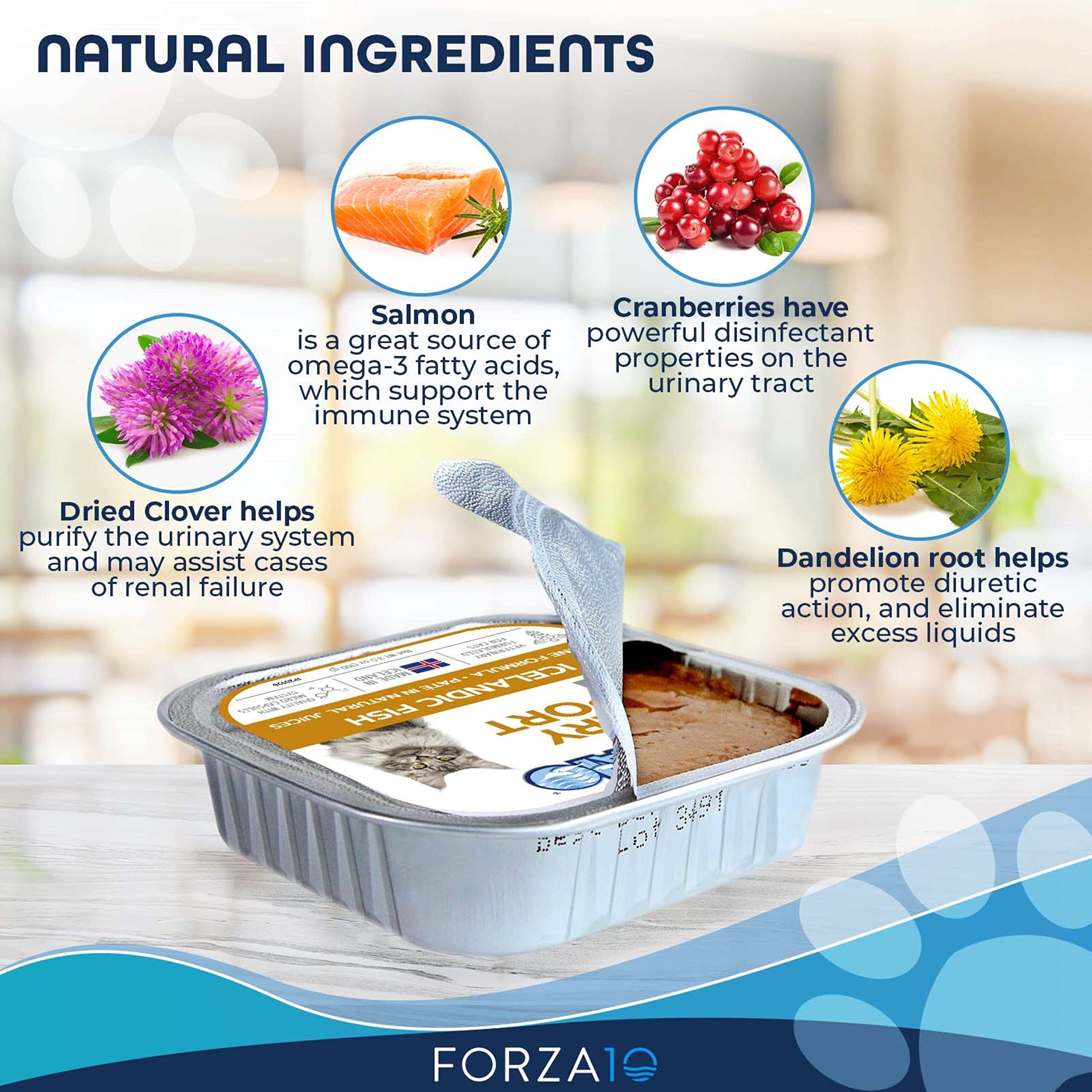 Forza10 Actiwet Urinary Cat Food, Canned Salmon Fish Flavor Urinary Tract Health Cat Food Wet, Vet Approved For Urinary Health, For Adult Cats, 3.5 Ounce, 32 Pack Case