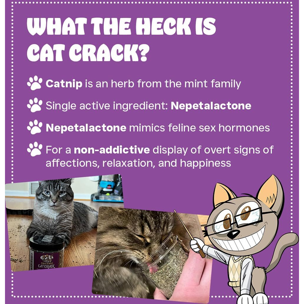 Cat Crack Catnip, Zoomie-Inducing Cat Nip Blend, North American Made & 100% Natural, Safe & Non-Addictive Catnip Treats Used To Supplement Cat Nip Toys, Spray, & Accessories (1 Cup)