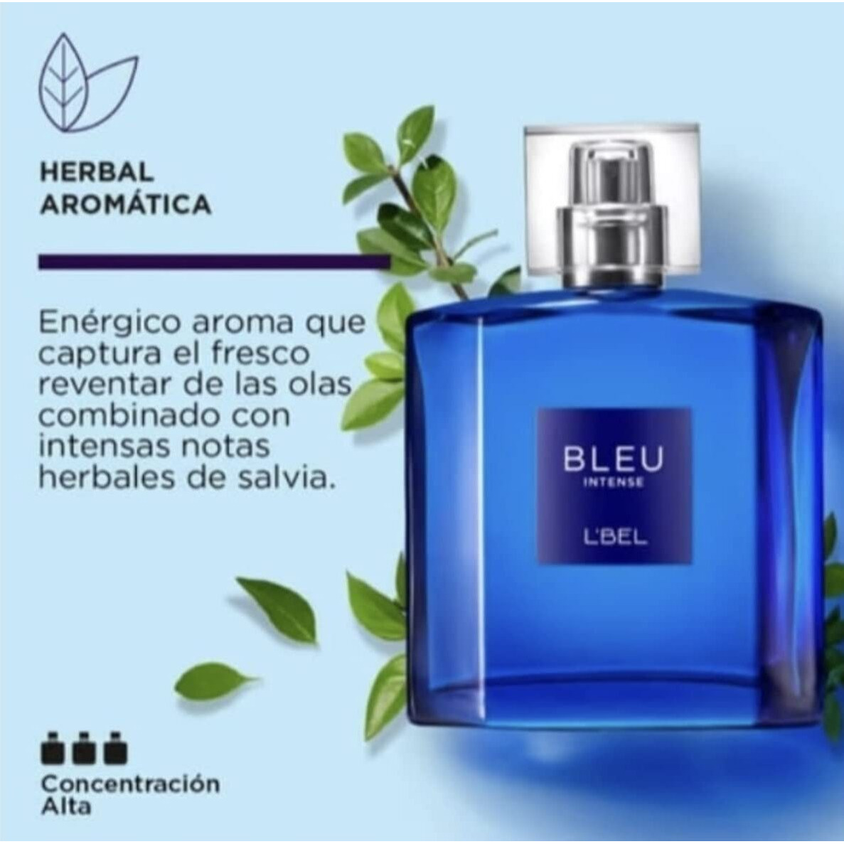 L'Bel Bleu Intense 100Ml - Fragrance For Men Eau De Toilette