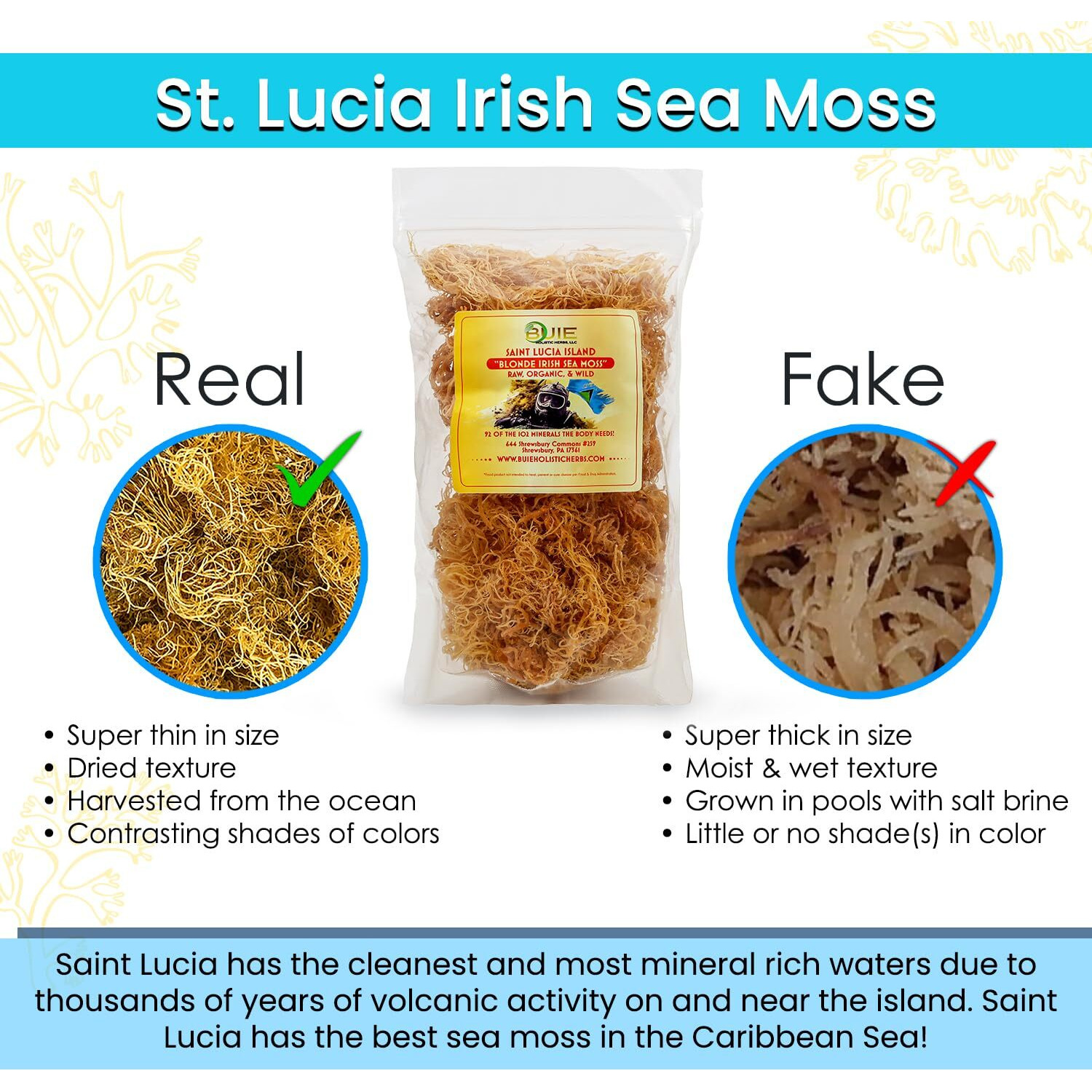 Buie Holistic Herbs Golden Irish Sea Moss, Pure Wildcrafted, Nutrient-Rich, Dr. Sebi Inspired - Makes 120+ Oz Gel | Pure & Natural Raw Gold Irish Sun - Dried Sea Moss For Health & Wellness / (8 Oz)