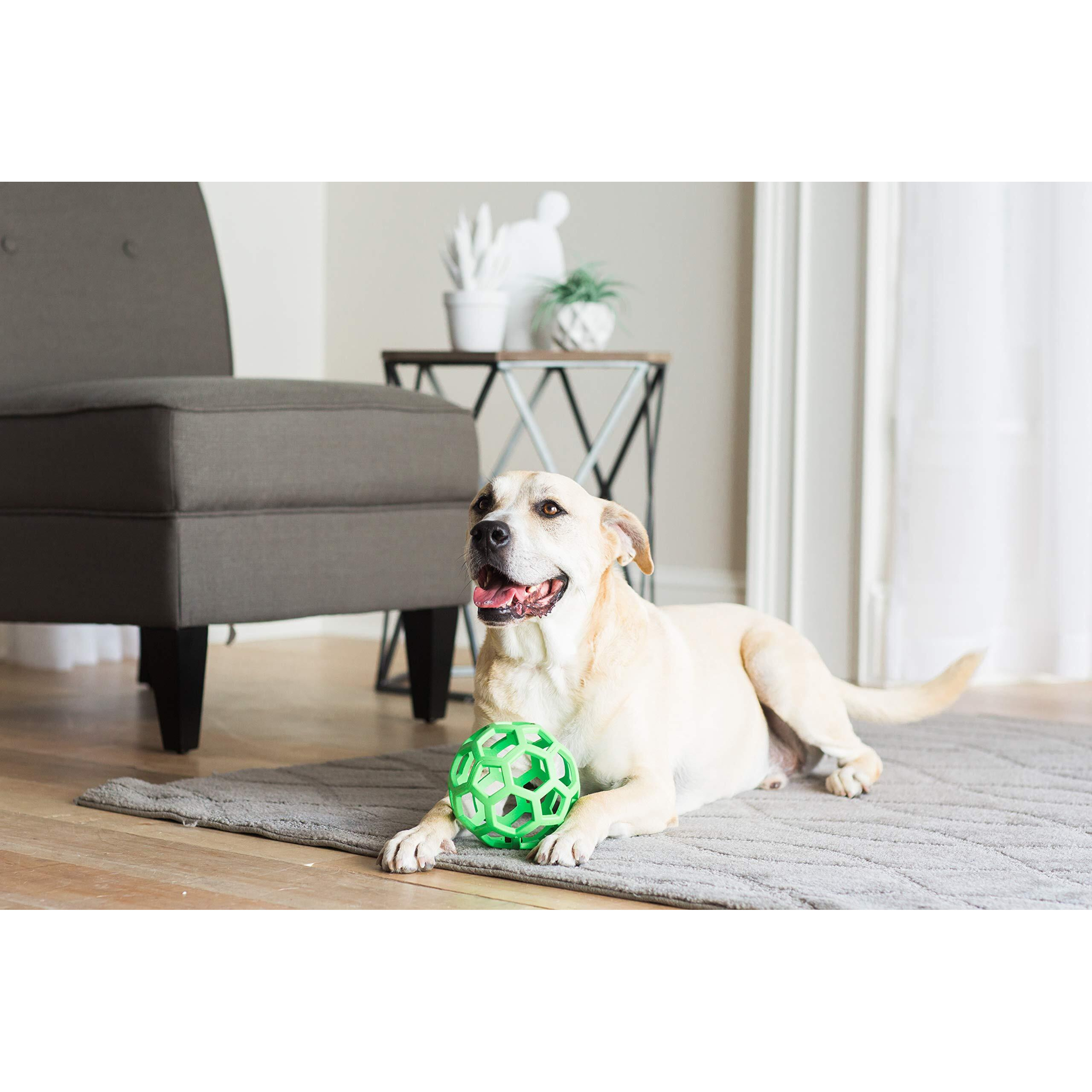 Jw Pet Hol-Ee Roller Dog Toy Puzzle Ball, Natural Rubber, Large (5.5 Inch Diameter), Colors May Vary