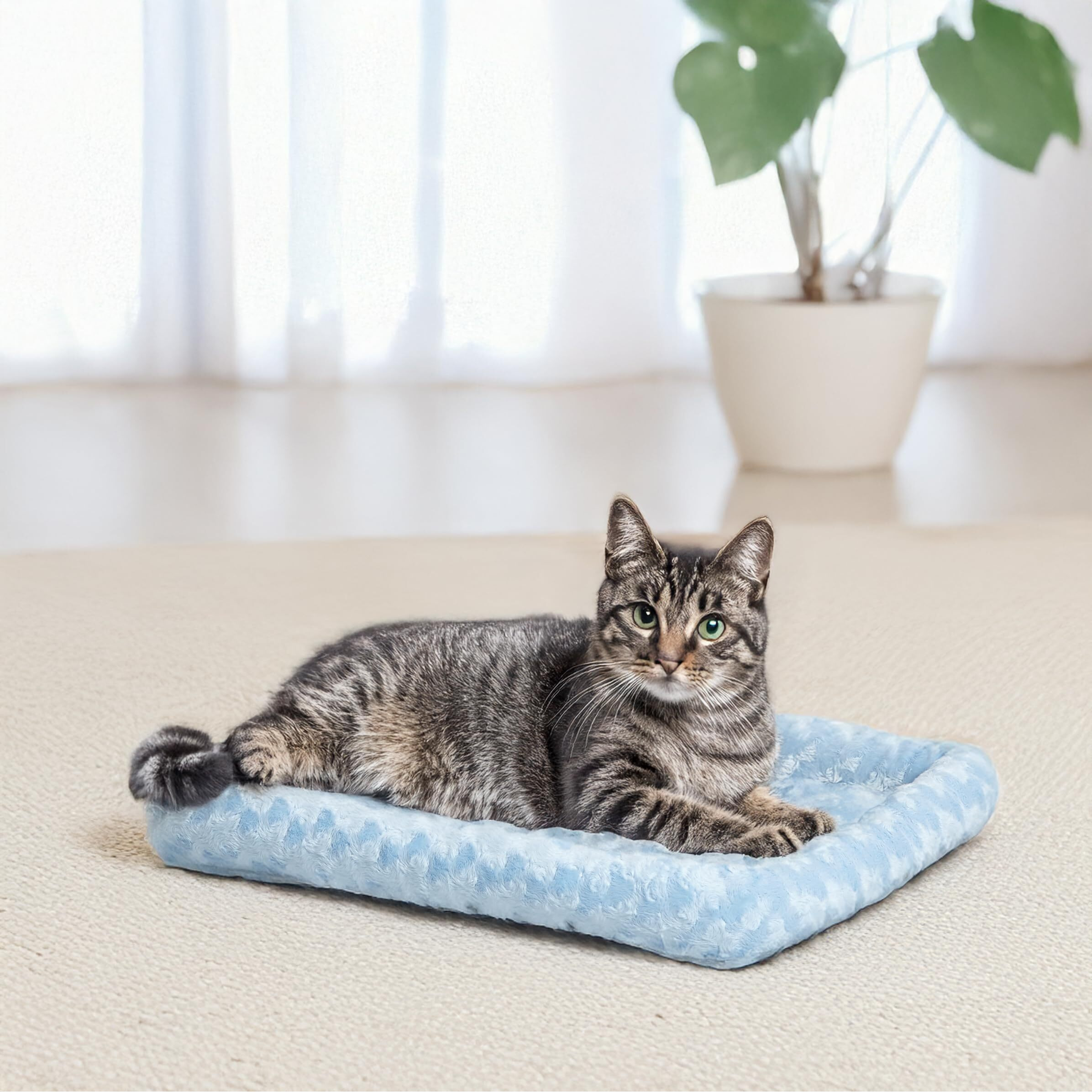 Midwest Homes For Pets Bolster Dog Bed 18L-Inch Blue Dog Bed Or Cat Bed W/Comfortable Bolster | Ideal For Toy Dog Breeds & Fits An 18-Inch Dog Crate | Easy Maintenance Machine Wash & Dry