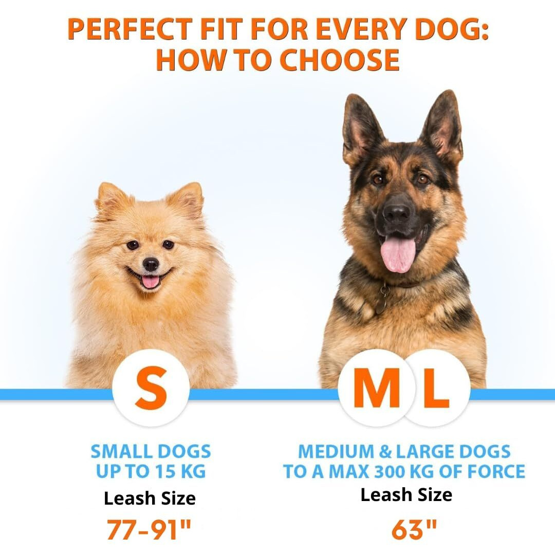 Sparklypets Hands Free Double Dog Leash - Dual Leash For Medium And Large Breeds - Lead For 2 Dogs With Padded Handles, Reflective Stitches, No Pull, Tangle Free