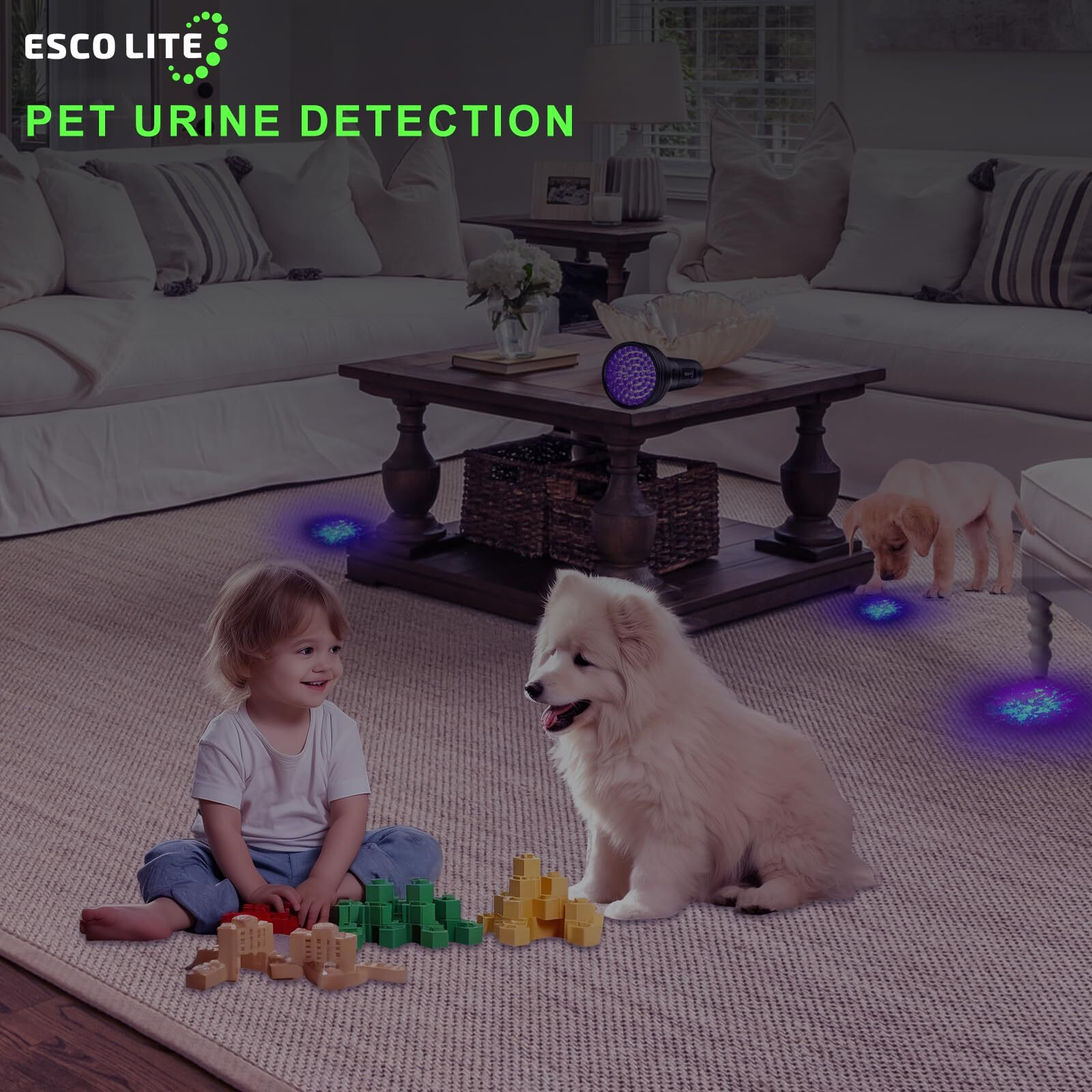 Esco Lite Uv Flashlight Black Light, 100 Led 395 Nm Ultraviolet Flashlights Uv Blacklight Detector For Dog Urine, Pet Stains And Bed Bug, Matching With Pet Odor Eliminator
