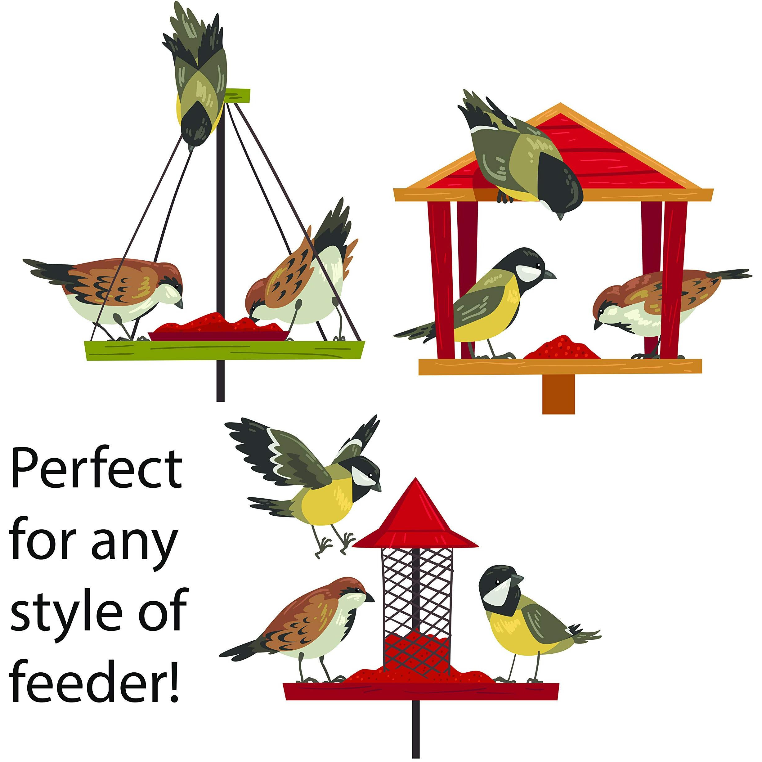 Family Farm And Feed | Four Seasons | Critter Mix | Wild Bird Food | Backyard Songbird | 4 Pounds