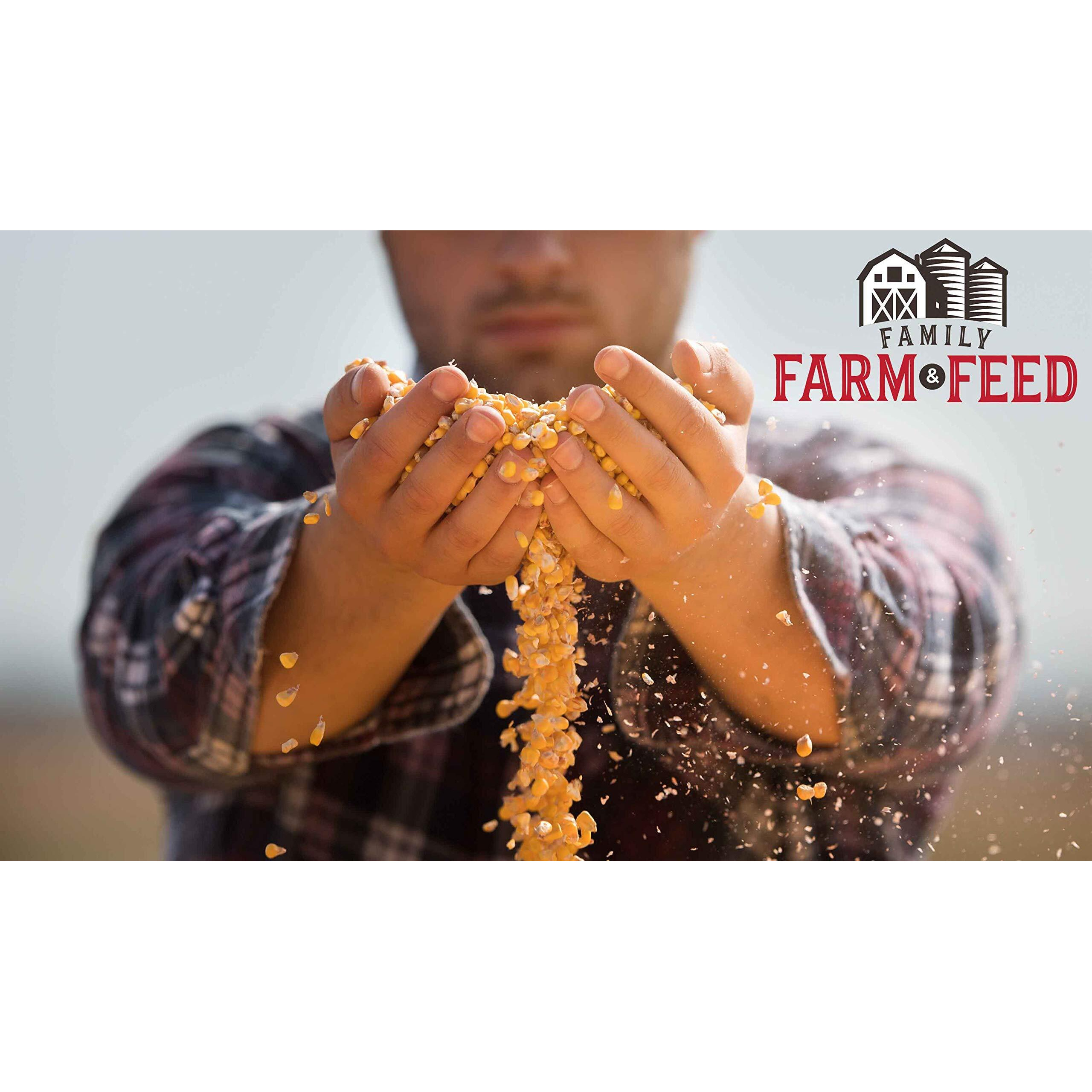 Family Farm And Feed | Four Seasons | Critter Mix | Wild Bird Food | Backyard Songbird | 4 Pounds