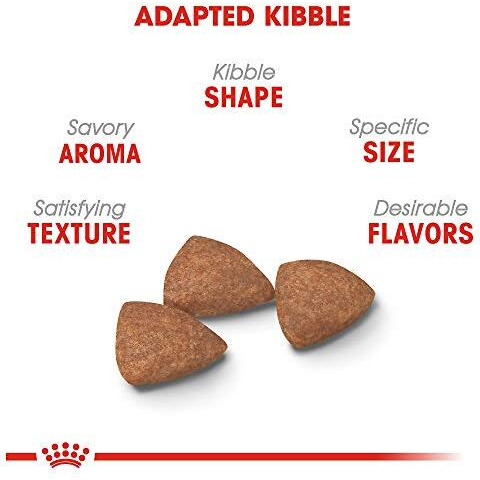 Royal Canin Small Indoor Adult Dry Dog Food, 2.5 Lb Bag