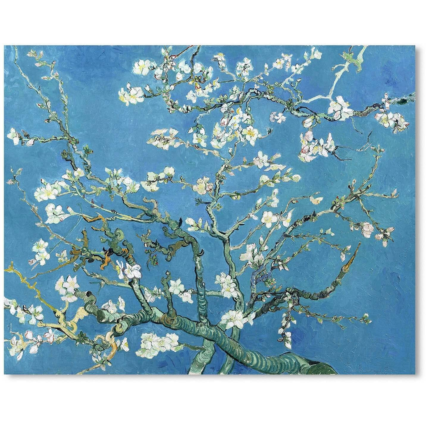 Van Gogh Canvas Wall Art Almond Blossom Oil Painting Flower Picture Reproduction Room Decor, Famous Art Prints Floral Tree Poster Teal Modern Artwork Home Decoration 12"" X 15""