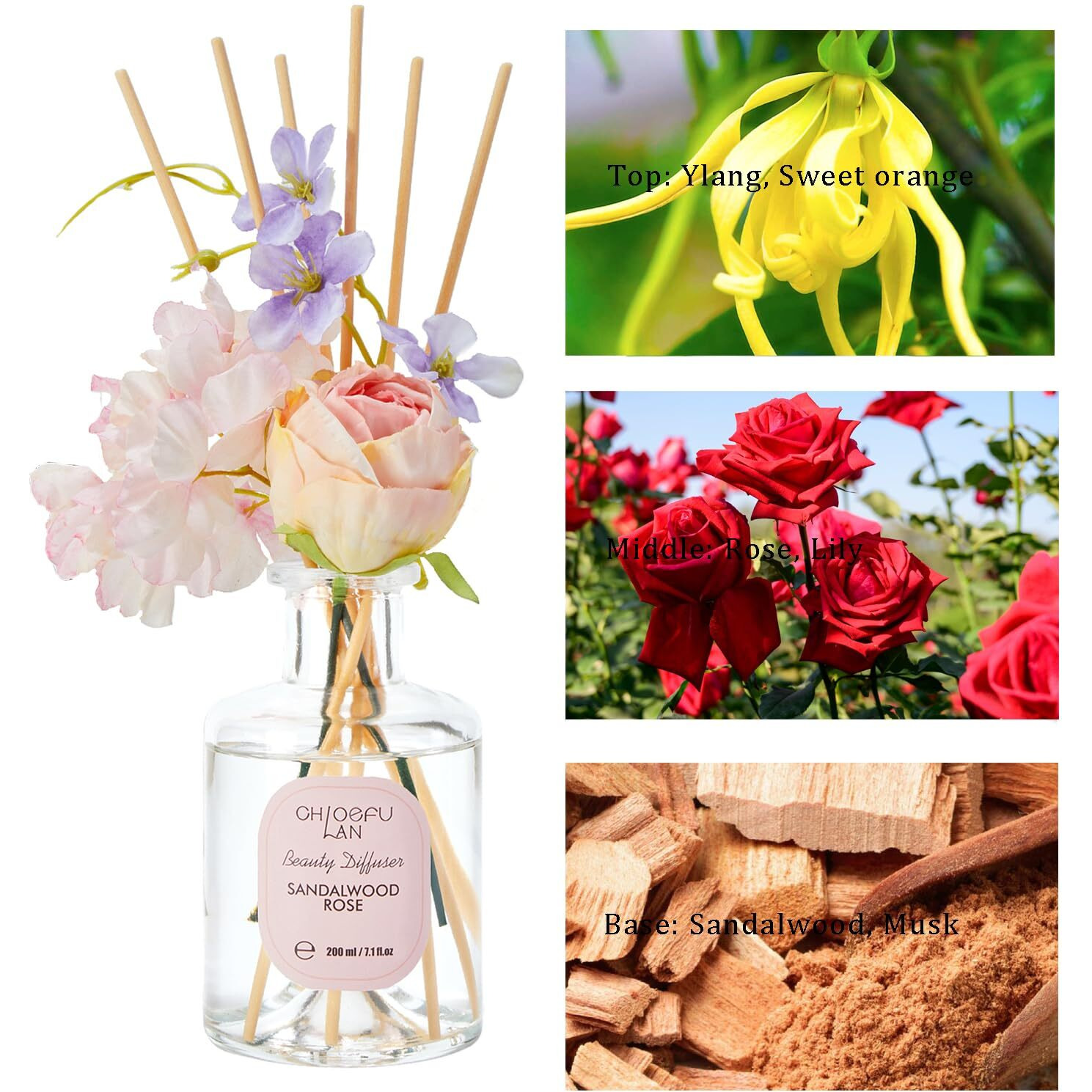 Chloefu Lan Premium Re  D Diffuser Set With Pink & Purple Flowers Re  D Diffuser Sticks Sandalwood Rose | 6.7Oz Scent Fragrance Oil Diffuser For Bedroom Bathroom Home Shelf D  Cor