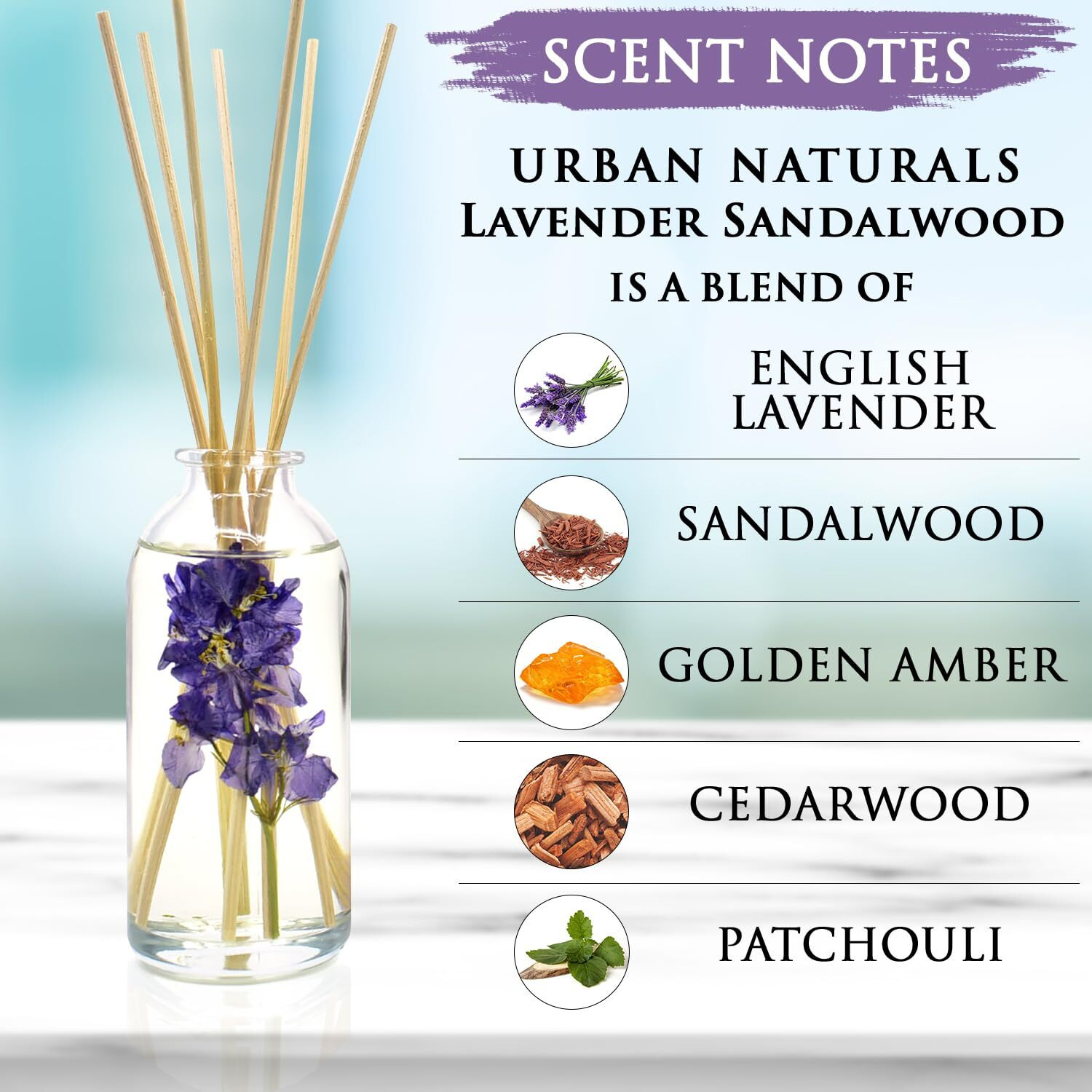 Urban Naturals Lavender Sandalwood Essential Oil Reed Diffuser Set With Natural Bamboo Reeds Sticks | Aromatic Lavender, Golden Amber & Woods | Vegan. Made In The Usa