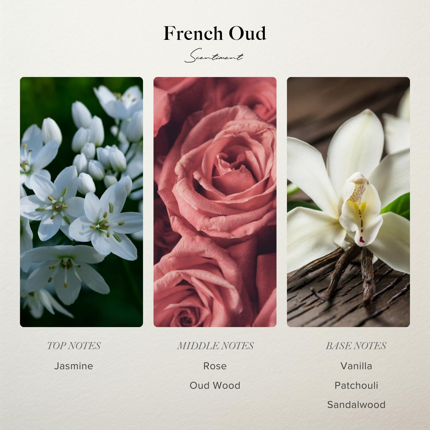Scentiment Diffuser Oil - French Oud Designer Collection | Aromatherapy Home Fragrance | Luxurious Scent With Notes Of Jasmine, Rose, Oud Wood, Vanilla, Patchouli, Sandalwood (50 Ml)