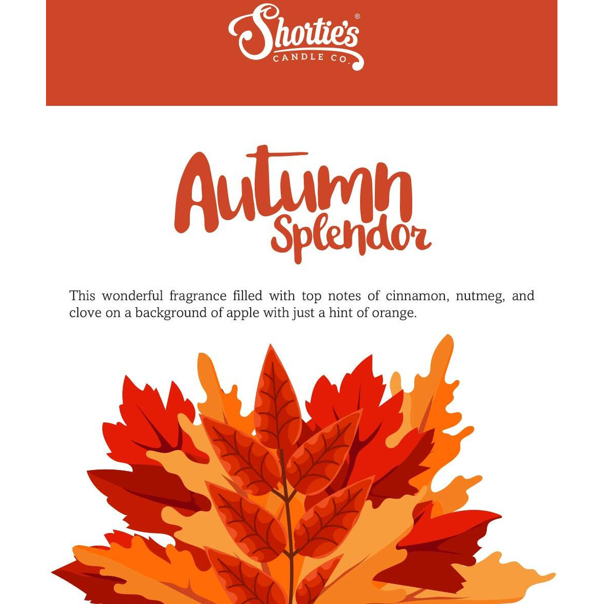Shortie's Candle Company Autumn Splendor Wax Melts Bulk Pack - Formula 117-4 Highly Scented 3 Oz. Bars (12 Oz. Total) - Made With Natural Oils - Christmas & Holiday Air Freshener Cubes Collection