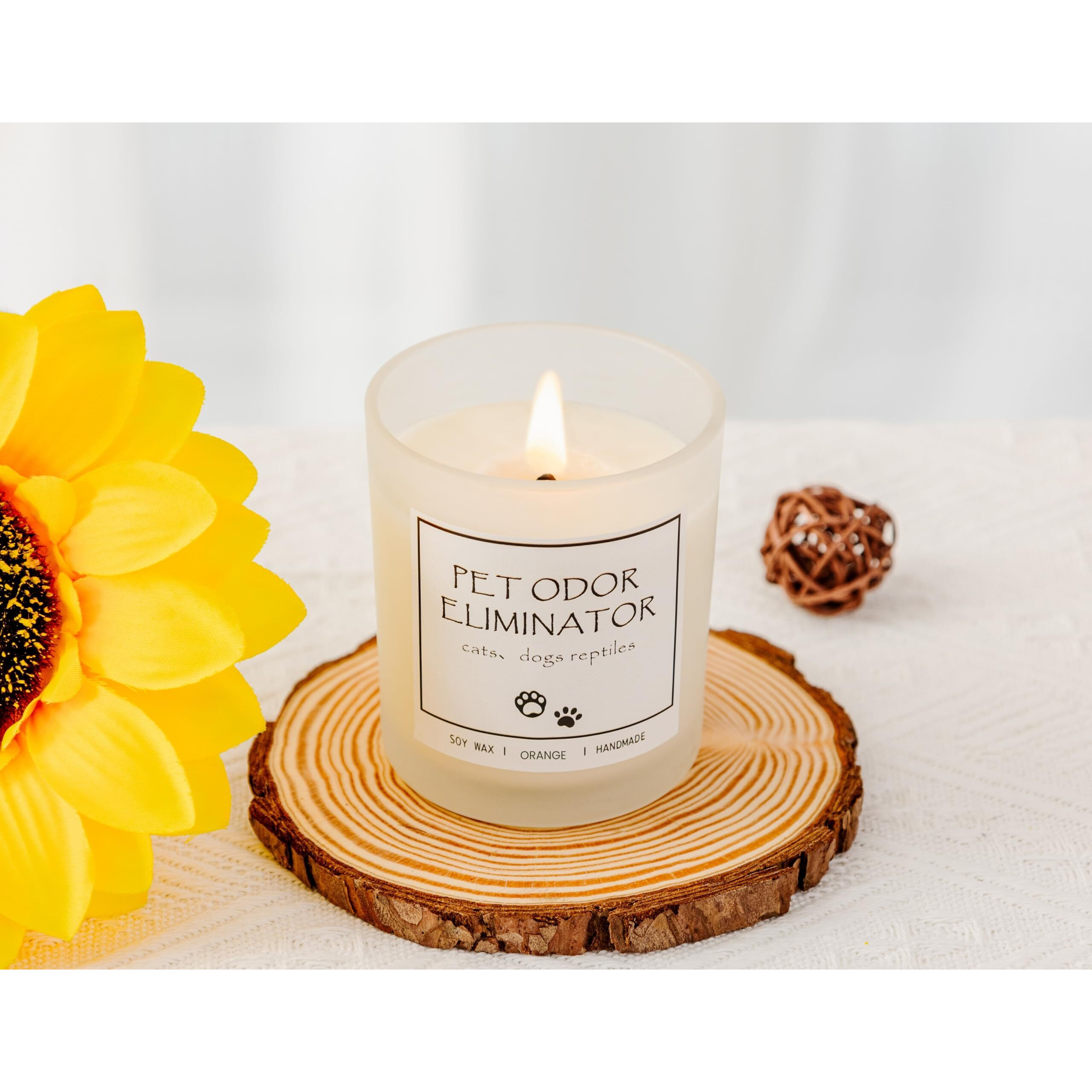 Pet Odor Eliminator Scented Candle - Deodorizing Candle For Pets, Pet Odor Freshener Candle, Dog Smell Eliminator For Home, Natural Soy Wax & Natural Essential Oils