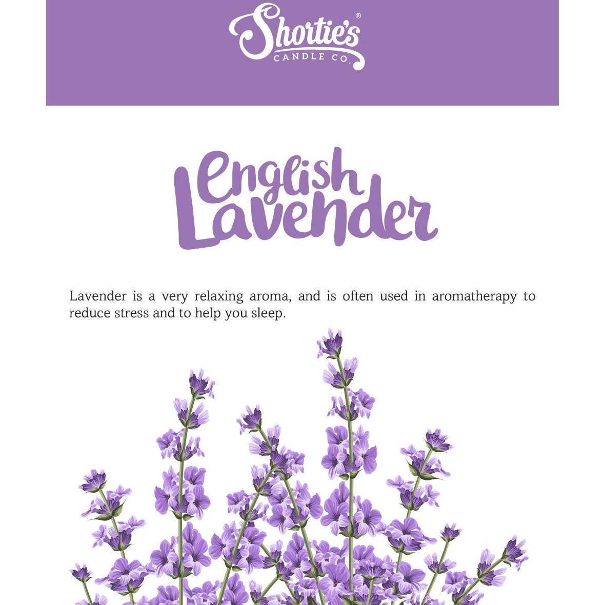 Pure English Lavender Wax Melts Multi Pack - Formula 117 - 2 Highly Scented 3 Oz. Bars (6 Oz. Total) - Made With Essential & Natural Oils - Flower & Floral Air Freshener Cubes Collection
