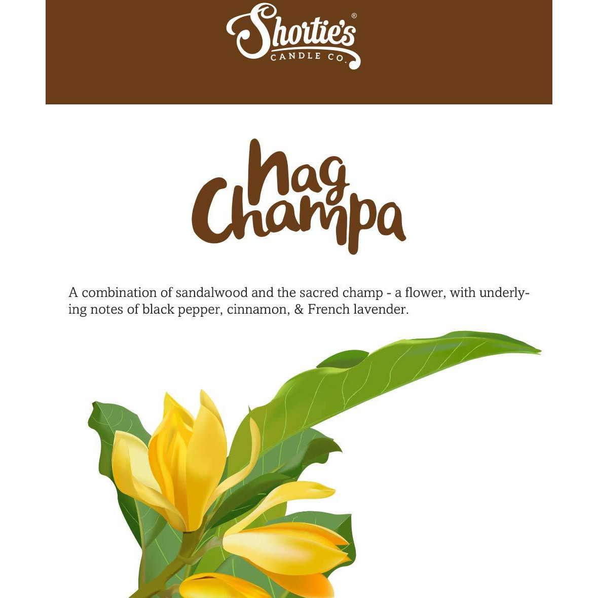 Shortie's Candle Company Nag Champa Wax Melts Bulk Pack - Formula 117-4 Highly Scented 3 Oz. Bars (12 Oz. Total) - Made With Natural Oils - Incense & Earth Air Freshener Cubes Collection