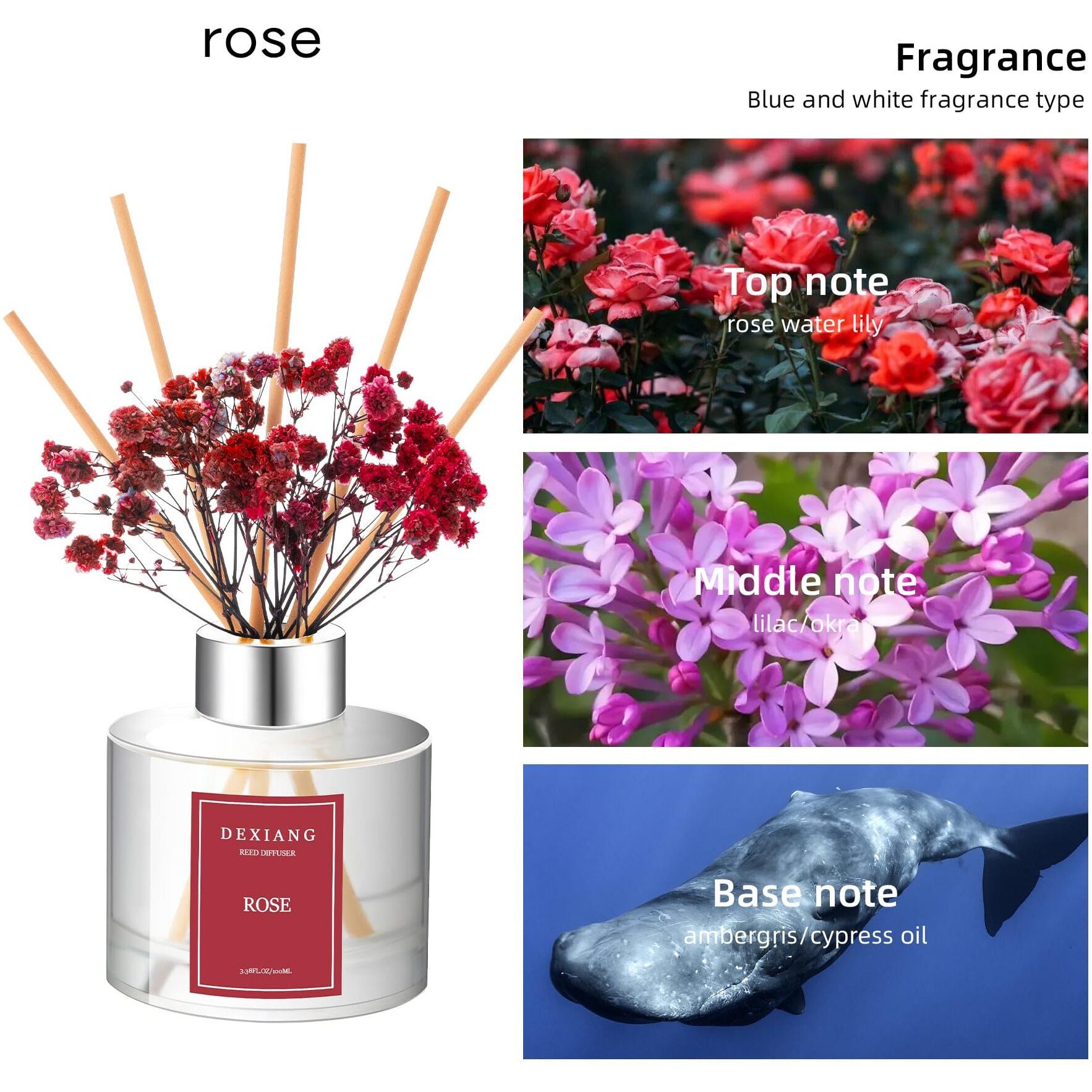 Rose Reed Diffuser Set - 3.38 Fl Oz (100Ml) Essential Oil With 6 Reed Sticks | Home & Bathroom Decor