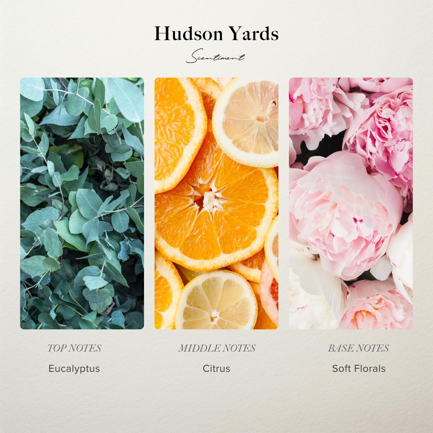 Scentiment Diffuser Oil - Hudson Yards | Aromatherapy Home Fragrance | Inspired By Equinox Hotel | Luxurious Scent With Notes Of Eucalyptus, Citrus, Soft Florals (50 Ml)