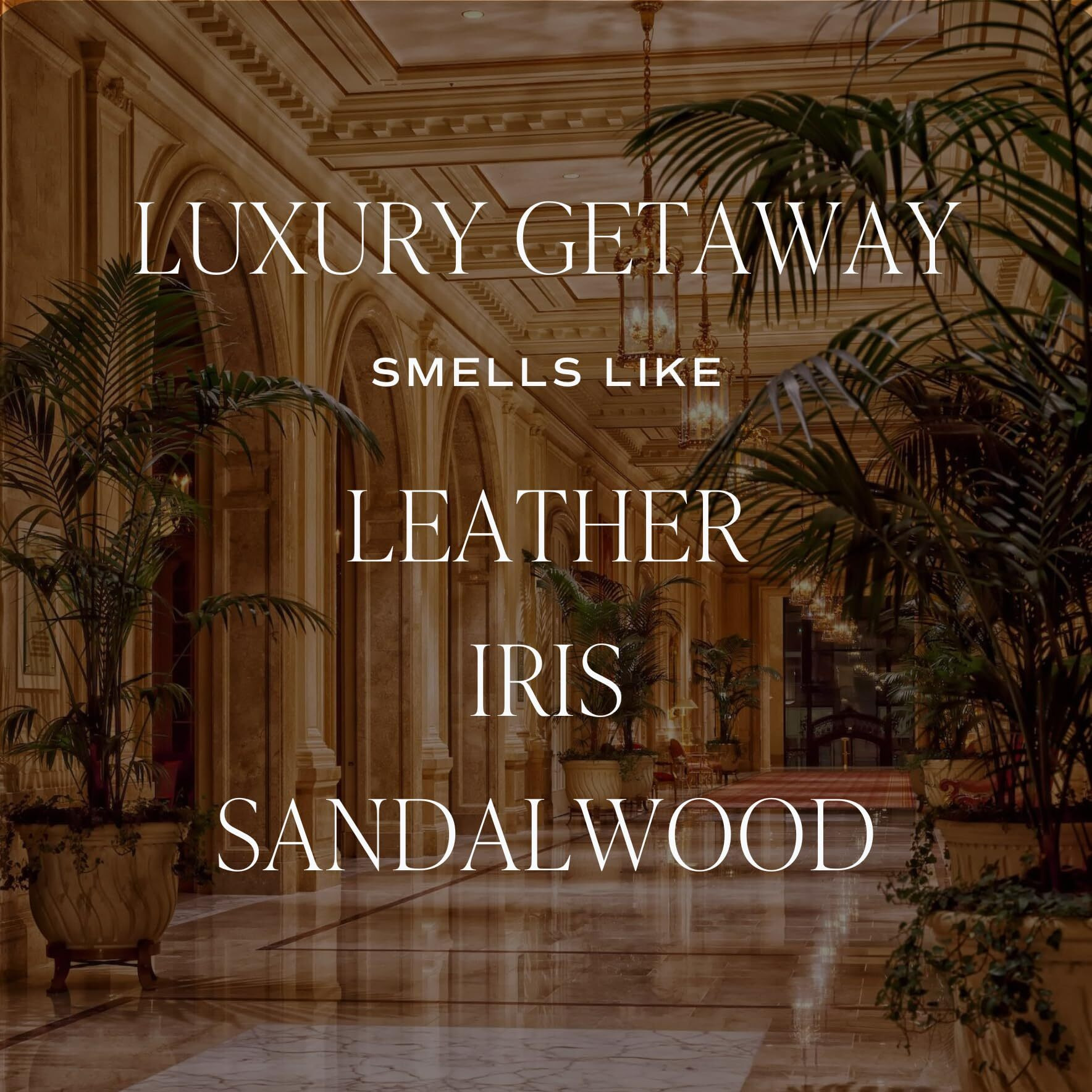 Sweet Water Decor Luxury Getaway Reed Diffuser Set - Room Diffuser With Leather, Amber & Musk Scent - Hotel Scent Diffuser Lasts For 4 Months - Home Diffuser With Premium Fragrance Oils