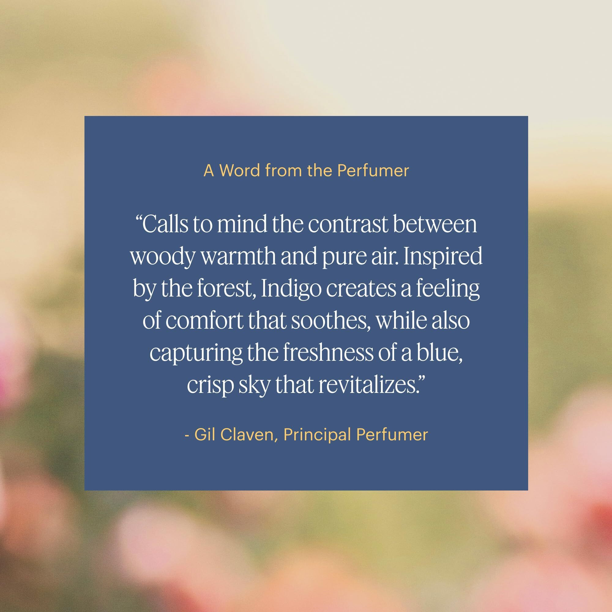 Aera Indigo - Essential Oil For Home - Crisp Apple And Cedarwood Fragrance - Notes Of Citrus, Jasmine And Sandalwood- Scent Refill - Works With The Diffuser