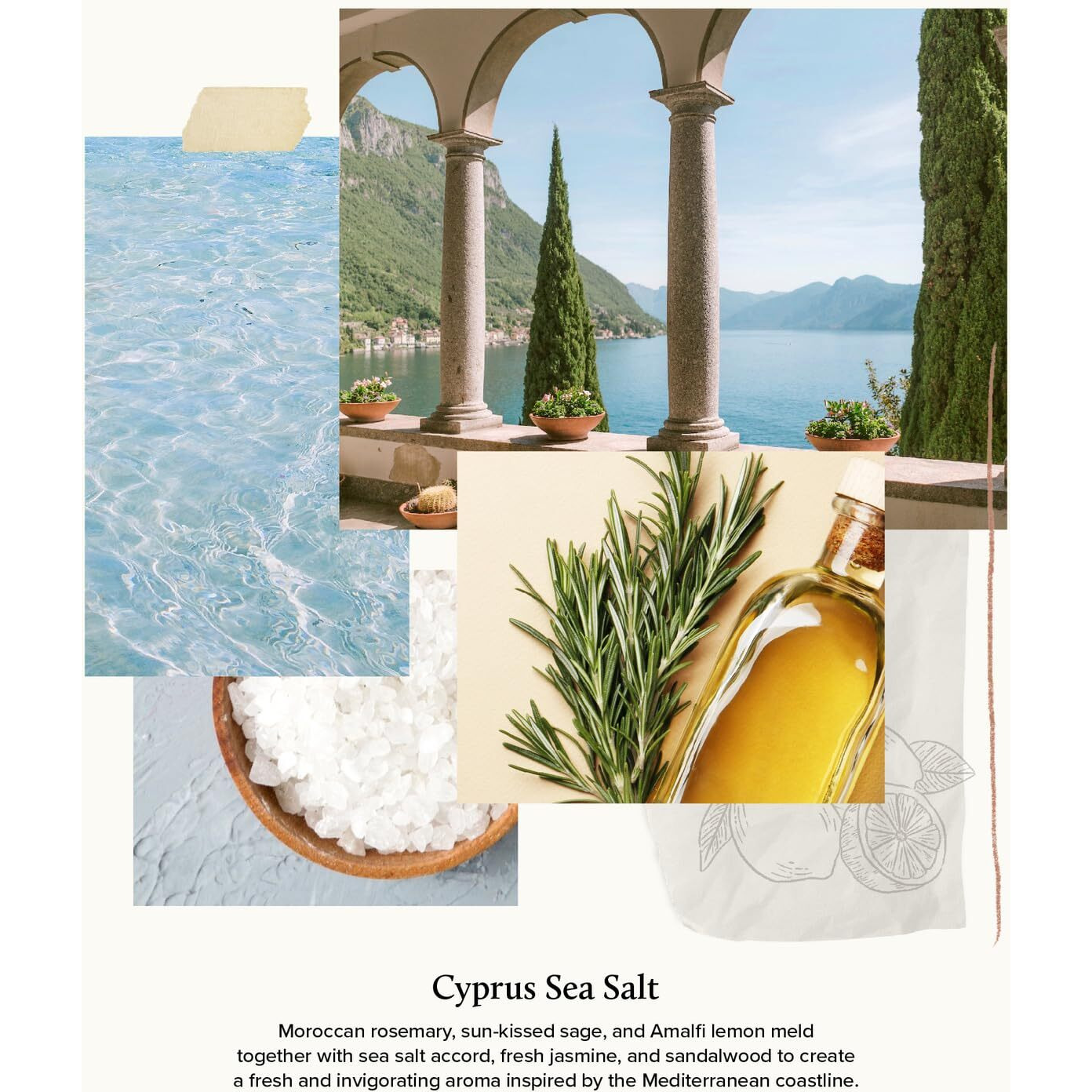 Thymes Petite Reed Diffuser Set - Includes Rattan Wood Sticks, Fragrance Oil, & Glass Bottle - Home Fragrance Oil Diffuser - Luxury Home Decor - Guest Bathroom Essentials (Cyprus Sea Salt, 4 Fl Oz)