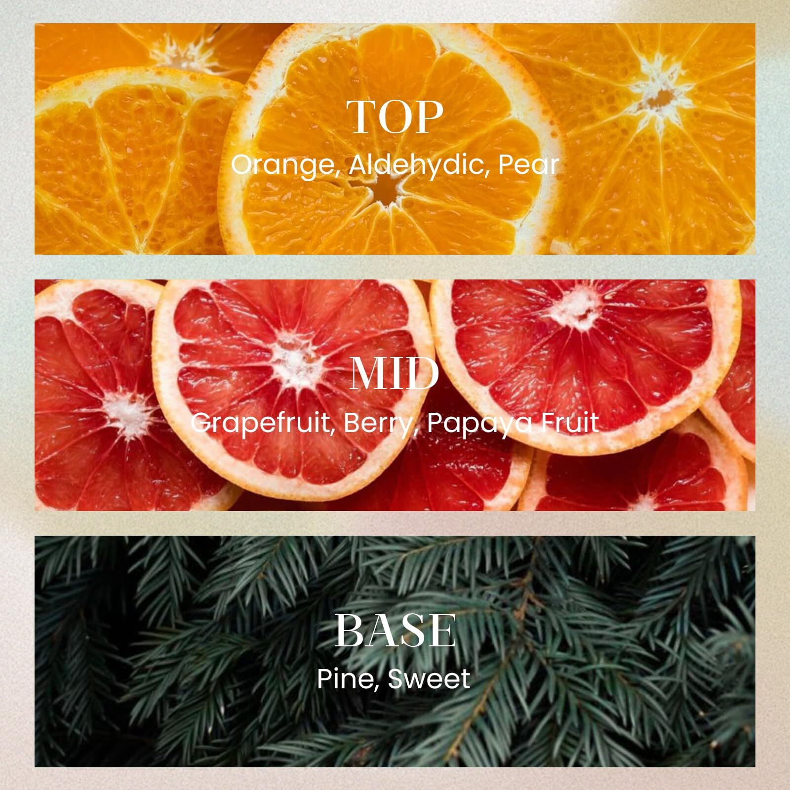 M&Sense 6.3 Oz Large Reed Diffuser Set | Orange Goji Scent Oil Diffuser With Sticks | Hotel Collection Non-Toxic Essential Oil |For Bedroom Bathroom Living Room