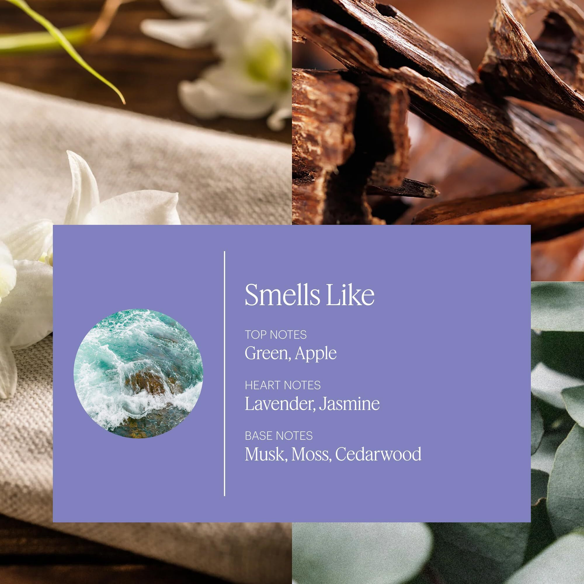 Aera Soft Pants - Essential Oil For Home - Warm And Cozy Moodboost Fragrance - Notes Of Sandalwood And Vanilla - Scent Refill - Works With The Diffuser
