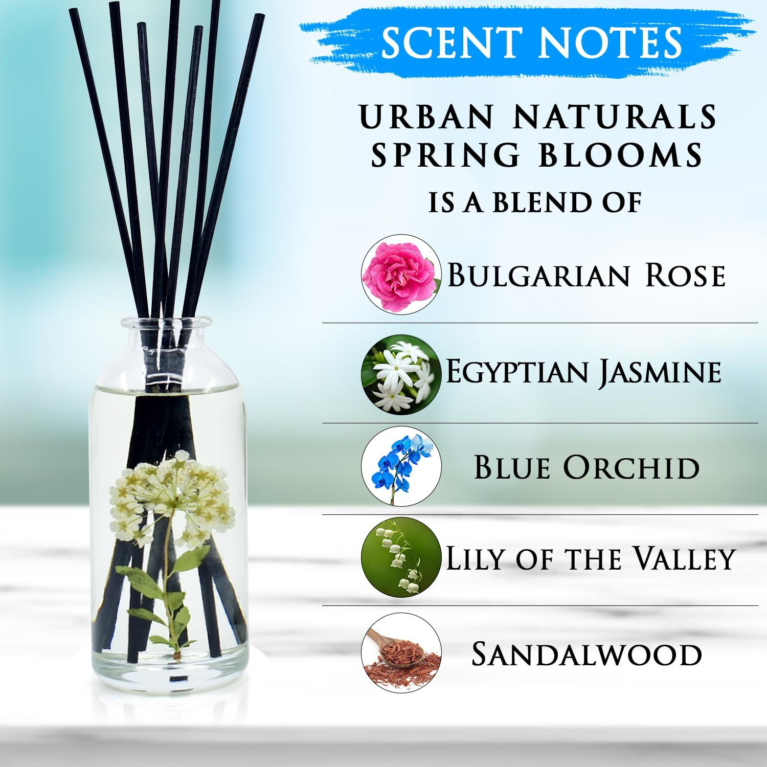 Urban Naturals Spring Blooms Scented Reed Diffuser Oil Set | Real Flowers In The Bottle Bulgarian Rose, Egyptian Jasmine, Blue Orchid, Lily Of The Valley, Amber | Great Idea