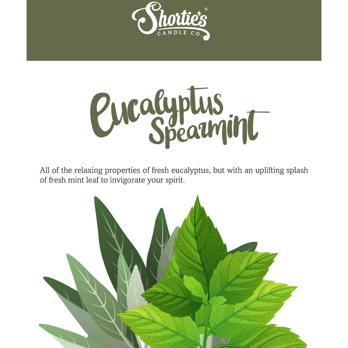 Eucalyptus Spearmint Wax Melts Bulk Pack - Formula 117 - 4 Highly Scented 3 Oz. Bars (12 Oz. Total) - Made With Essential & Natural Oils - Fresh & Clean Air Freshener Cubes Collection