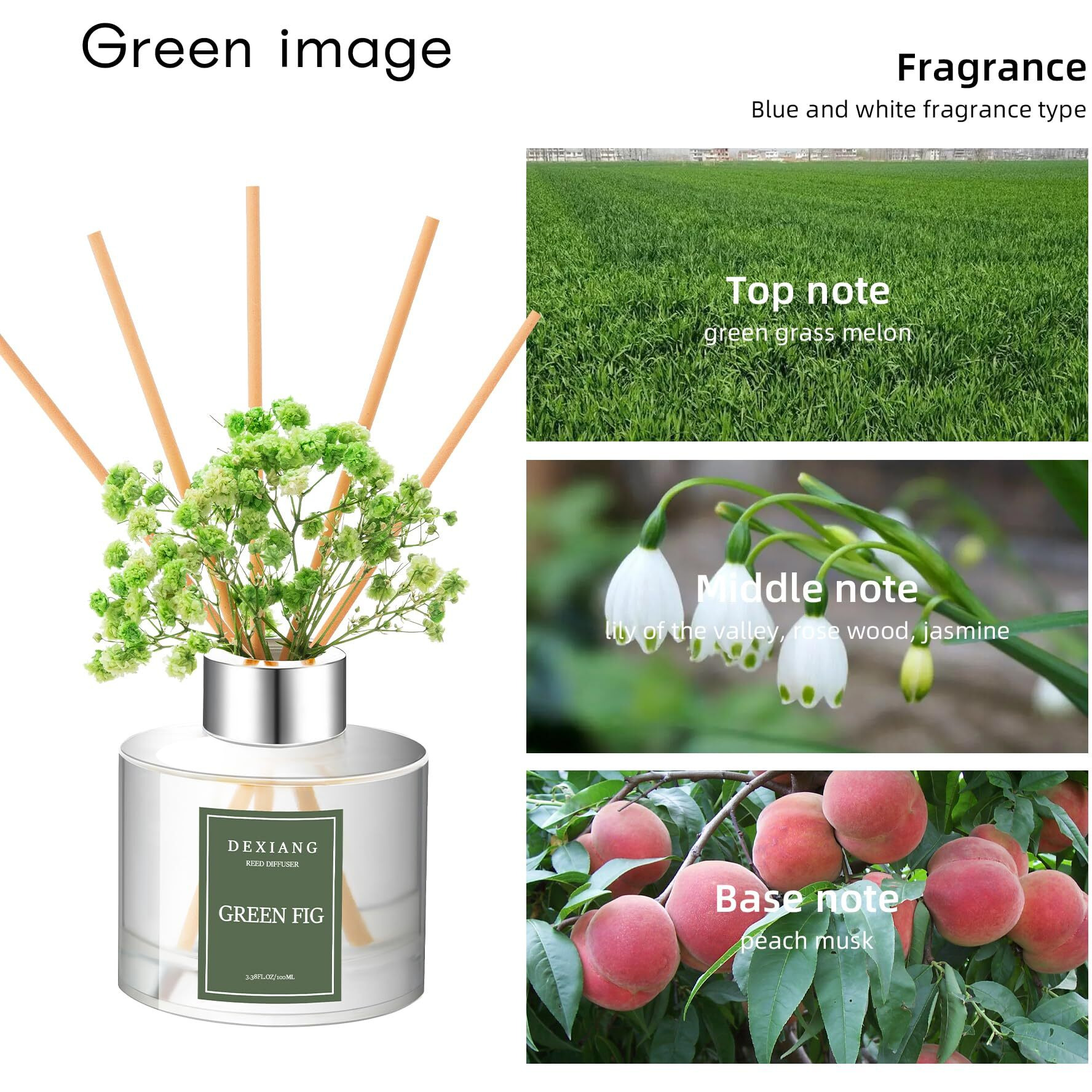 Green Picture Reed Diffuser Set - 3.38 Fl Oz (100Ml) Essential Oil With 6 Reed Sticks | Home & Bathroom Decor