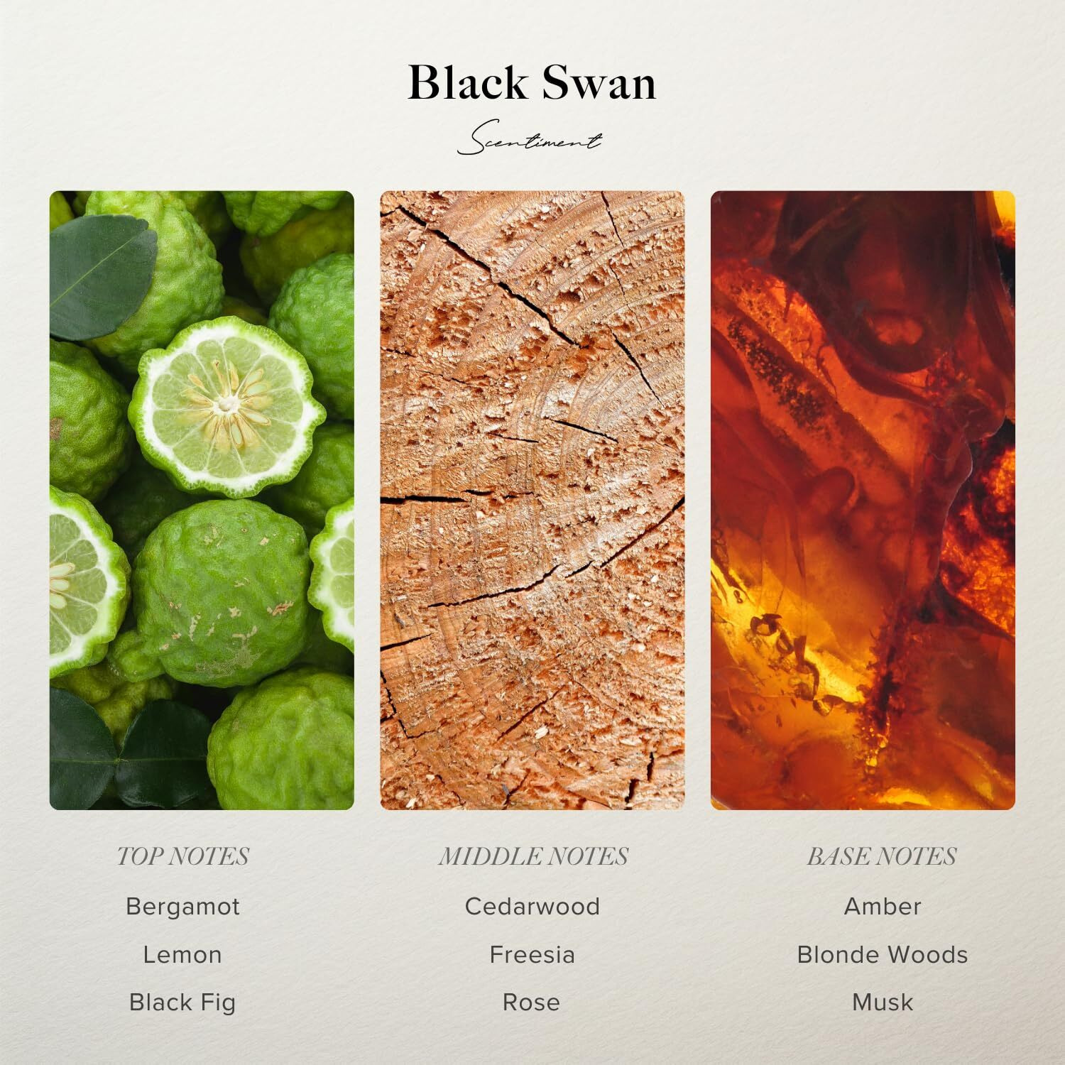 Scentiment - Black Swan Hotel Diffuser Oil | Aromatherapy Home Fragrance | Luxurious Scent With Notes Of Blonde Woods, Rose, Black Fig (120 Ml)