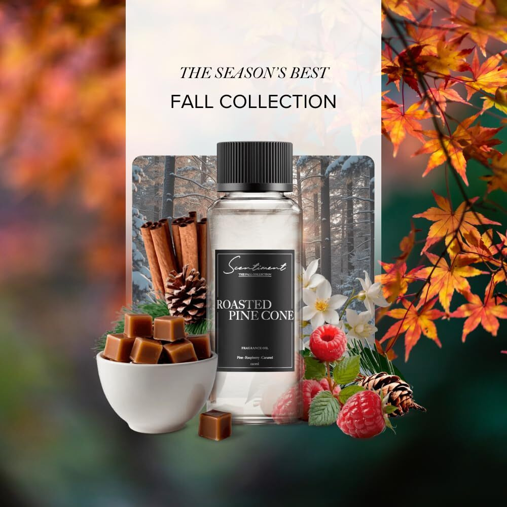 Scentiment Diffuser Oil - Roasted Pine Cone Fall Collection | Aromatherapy Home Fragrance | Luxurious Scent With Notes Of Pine, Raspberry, Caramel (20Ml)