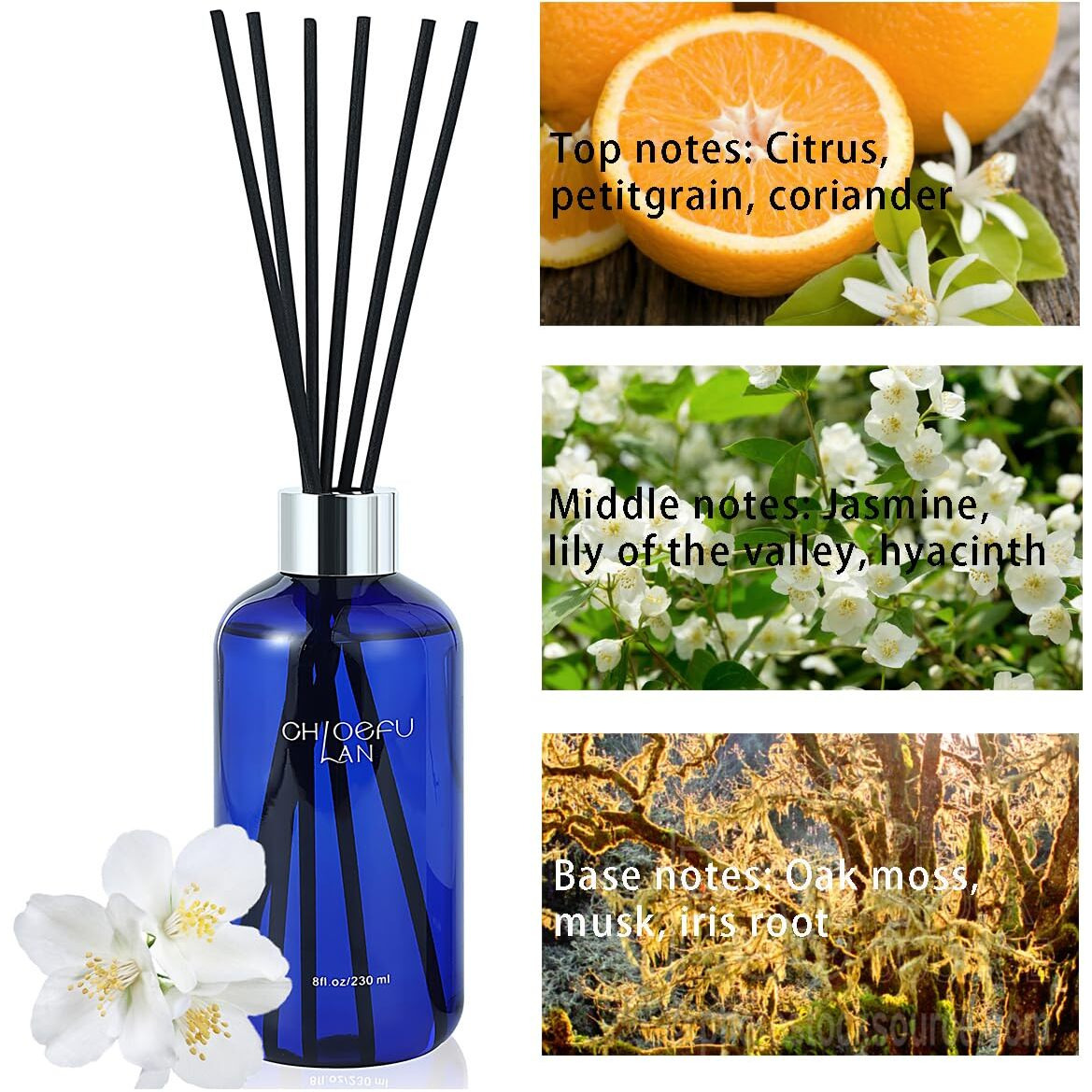 Chloefu Lan Jasmine Re  D Diffuser,8.1 Oz Natural Essential Scented Oil With Diffuser Sticks,Blue Jar, Home & Office Decor Aromatherapy Diffuser Oil Gift Set