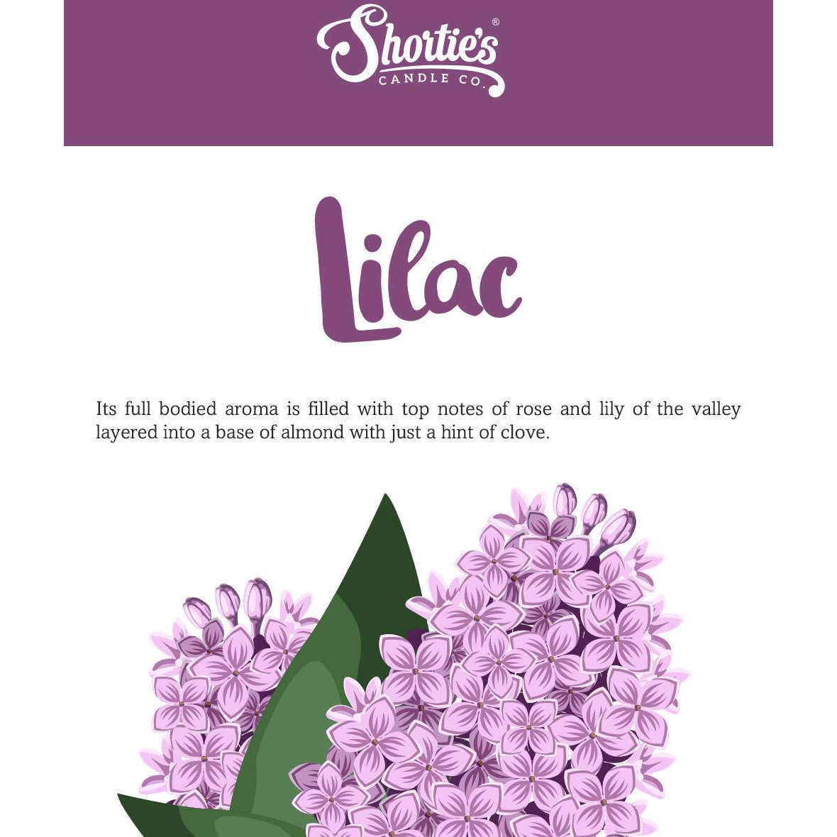 Shortie's Candle Company Pure Lilac Wax Melts Multi Pack - 2 Highly Scented 3 Oz. Bars (6 Oz. Total) - Made With Natural Oils - Flower & Floral Air Freshener Cubes Collection