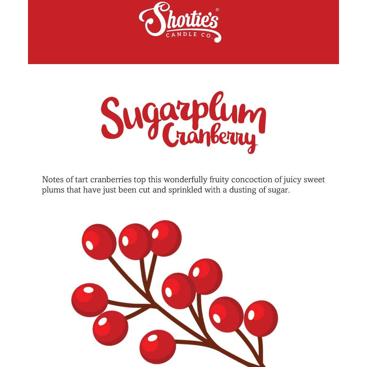 Shortie's Candle Company Sugarplum Cranberry Wax Melts Bulk Pack - Formula 117-4 Highly Scented 3 Oz. Bars (12 Oz. Total) - Made With Natural Oils - Christmas & Holiday Air Freshener Cubes Collection