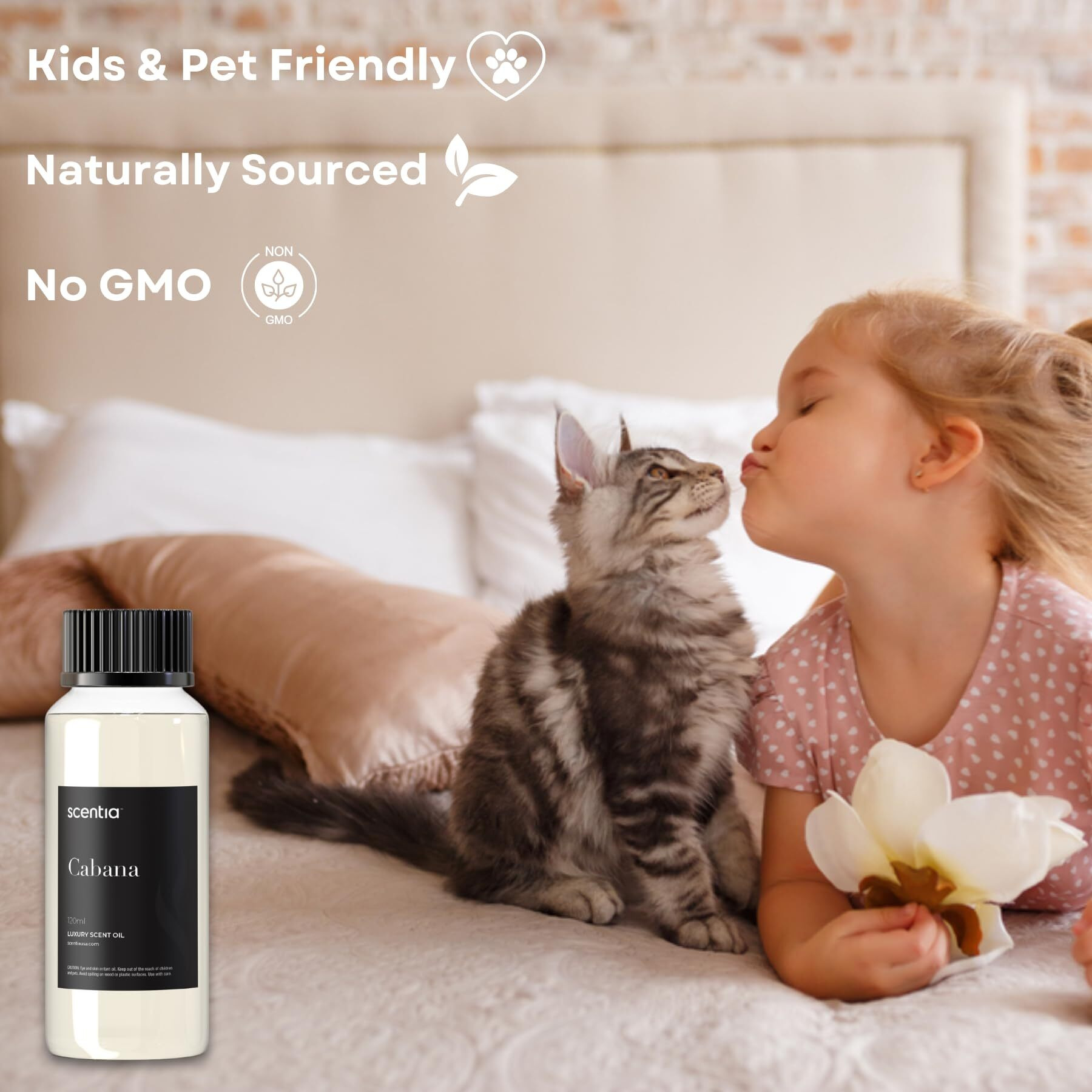 Scentia Hotel Diffuser Oil Inspired By The Ritz Carlton Hotel Scent - 500 Ml 16.9 Fl Oz - Fragrance Oil Blend Jasmine, Bergamot & Fresh Marine Notes For Aromatherapy Diffusers And Humidifiers - Cabana