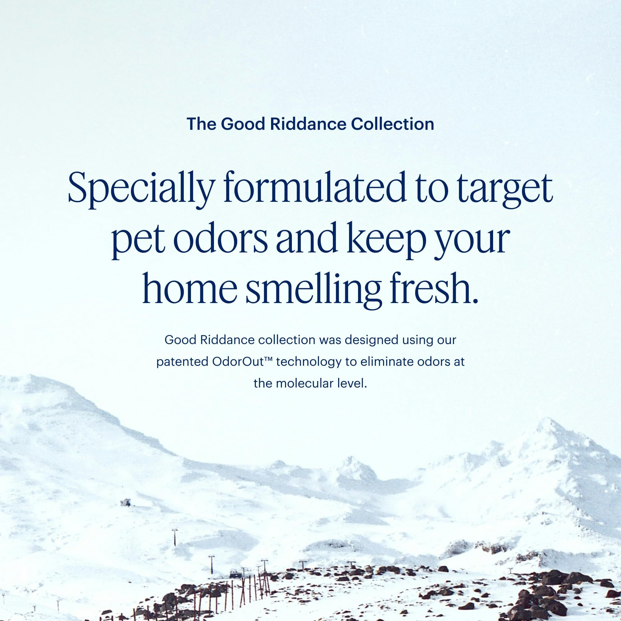 Aera Good Riddance Pet Odor - Essential Oil For Home - Deodorizing Fragrance For Pet Parents - Notes Of Cedar Wood, Green Apple And Maritime Pine - Scent Refill - Works With The Diffuser