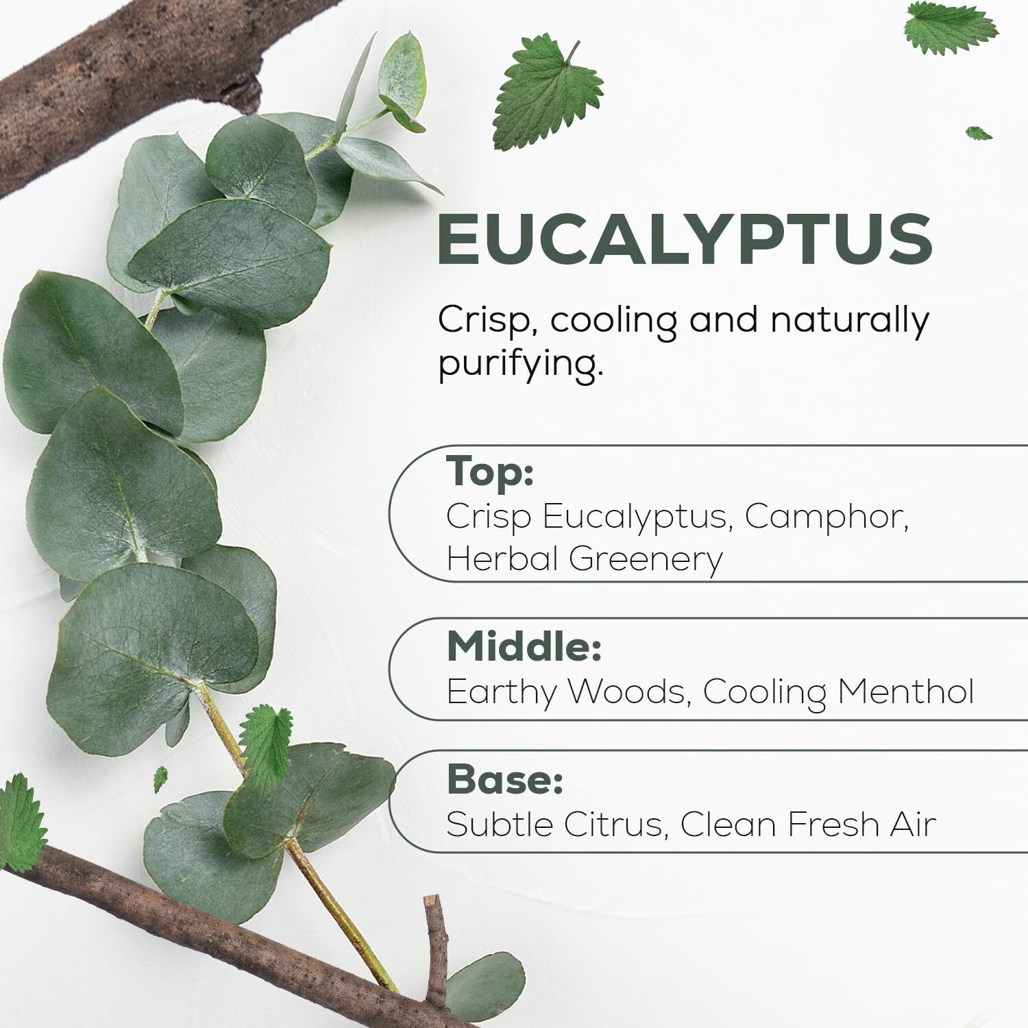 Aroma Country 100% Pure Eucalyptus Essential Oil - Organic & Undiluted Diffuser Oil, Humidifier, Steam Room & Shower Aromatherapy - Natural, Therapeutic Grade Oil For Skin, Sauna, & Home (4 Fl. Oz)