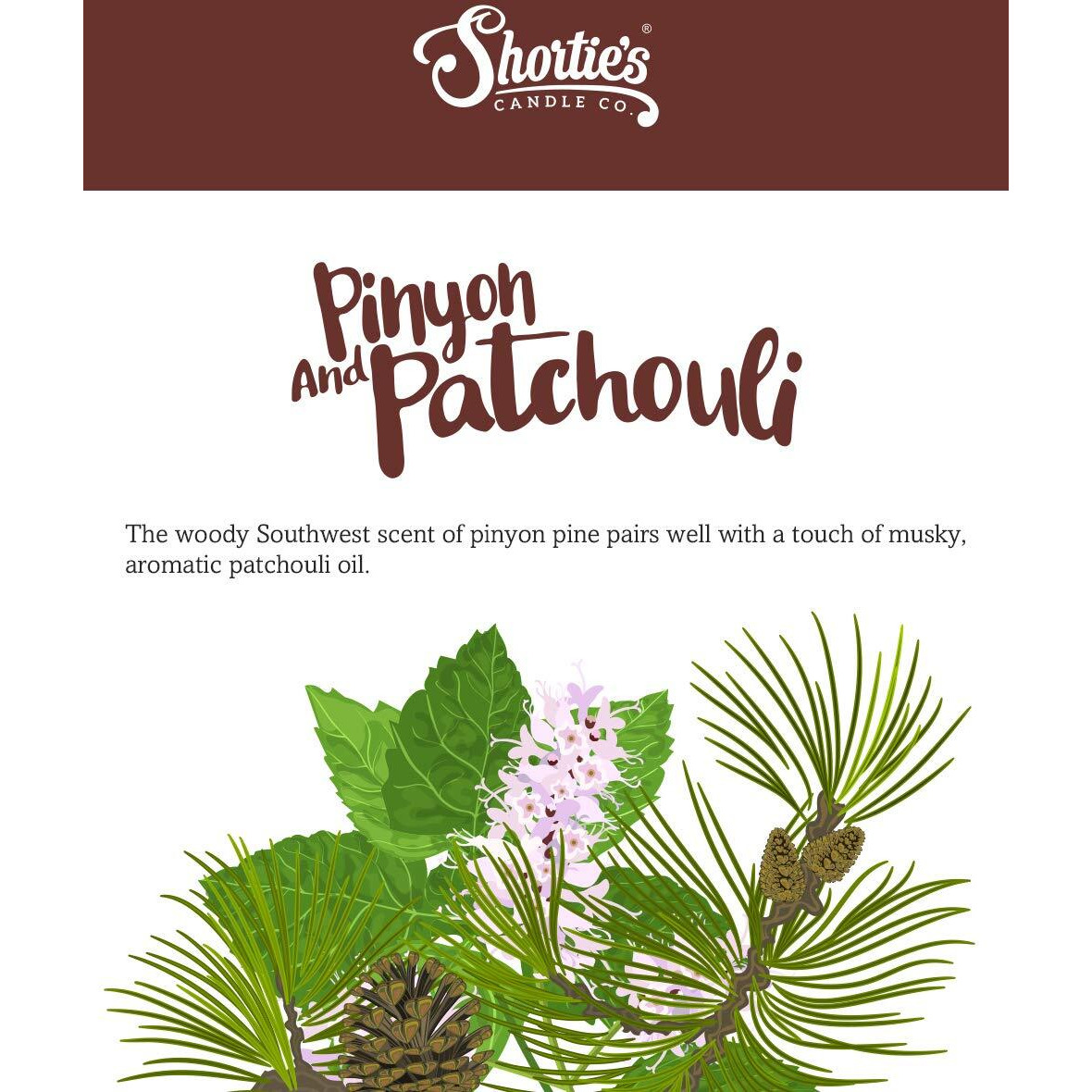 Shortie's Candle Company Pinyon & Patchouli Wax Melts Bulk Pack - Formula 117-4 Highly Scented 3 Oz. Bars (12 Oz. Total) - Made With Natural Oils - Incense & Earth Air Freshener Cubes Collection