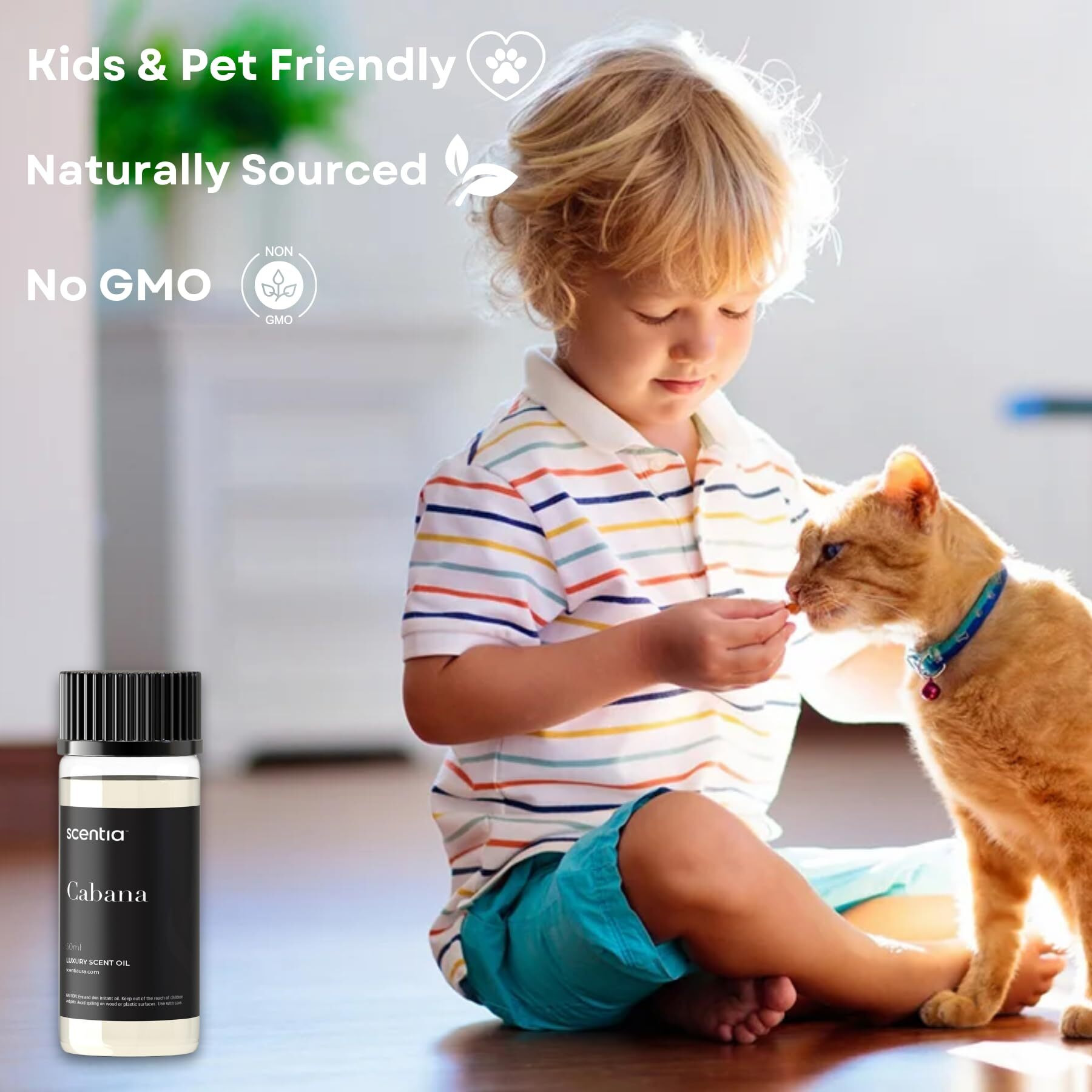 Scentia Hotel Diffuser Oil Inspired By The Ritz Carlton Hotel Scent - 50 Ml 1.69 Fl Oz - Essential Oil Blend Botanical Jasmine, Bergamot & Fresh Marine Notes For Aromatherapy Diffusers - Cabana